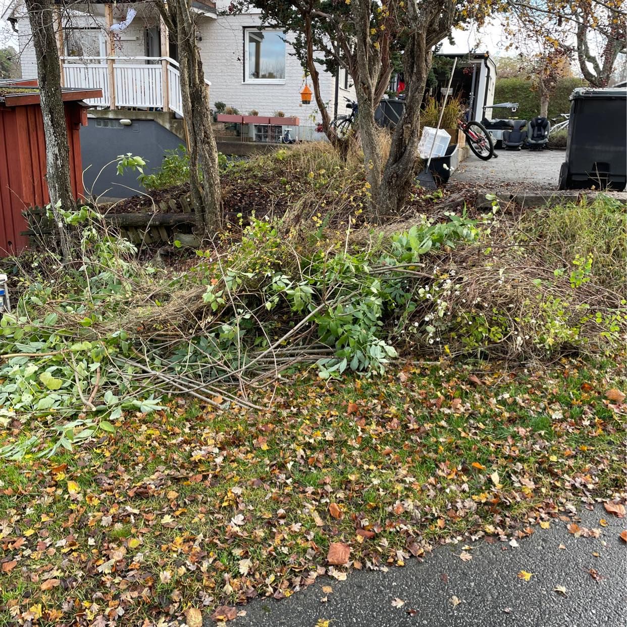 image of En liten hög ris & kvista - Värmdö