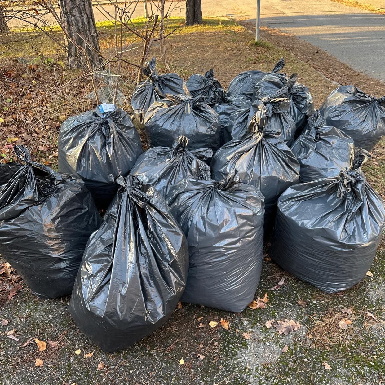 image of 15 påsar löv - Bromma