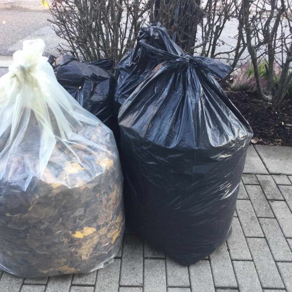 image of 4 säckar löv - Spånga