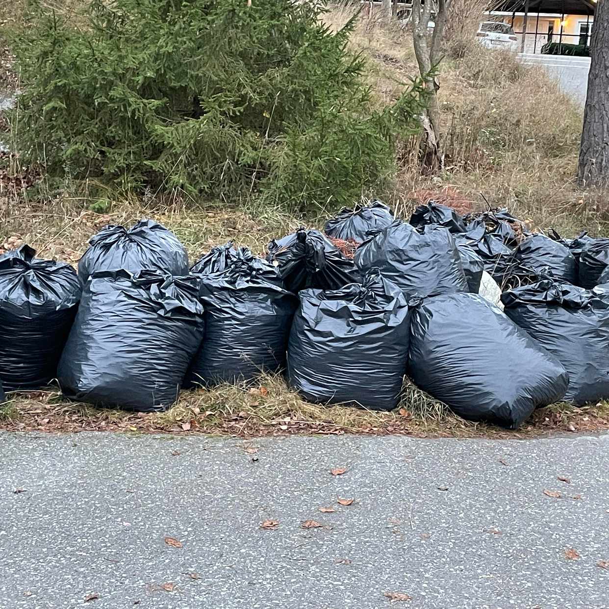 image of Ta bort tredgårdsavfall - Lidingö