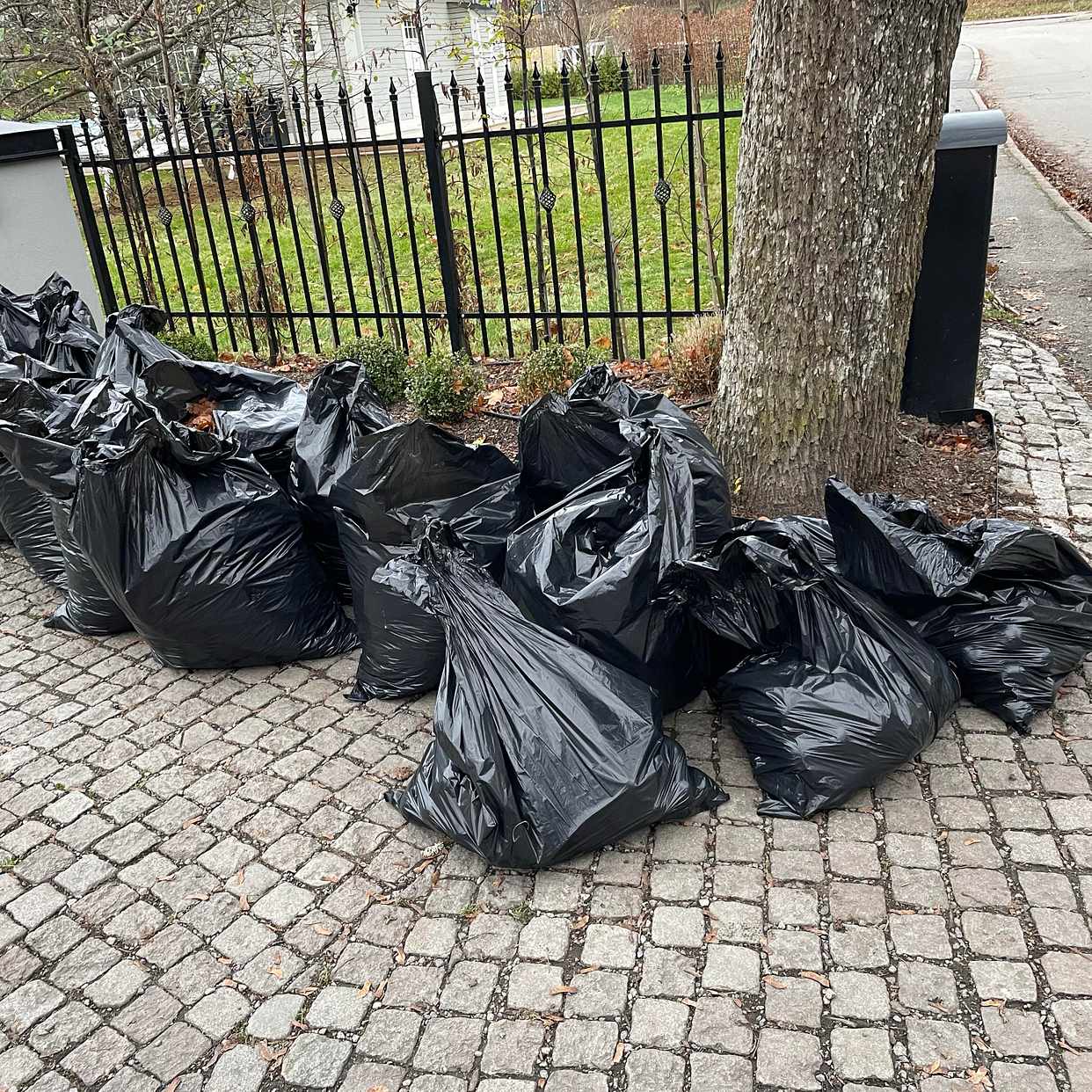 image of 19 säckar löv och äpplen - Djursholm