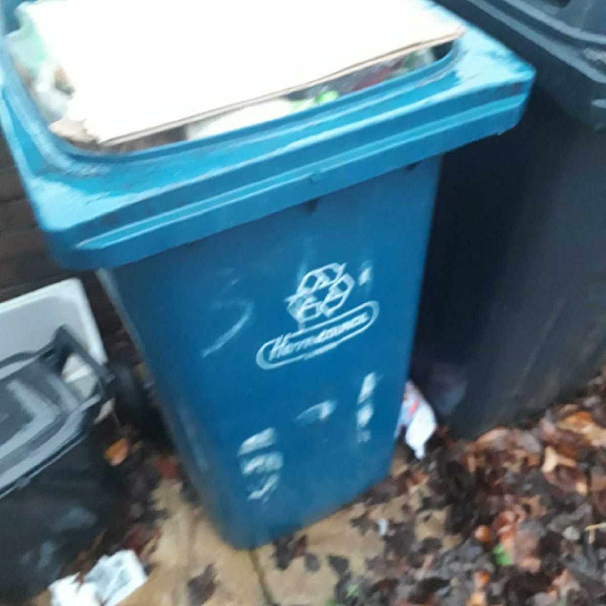 image of Recycling bin clearance - London