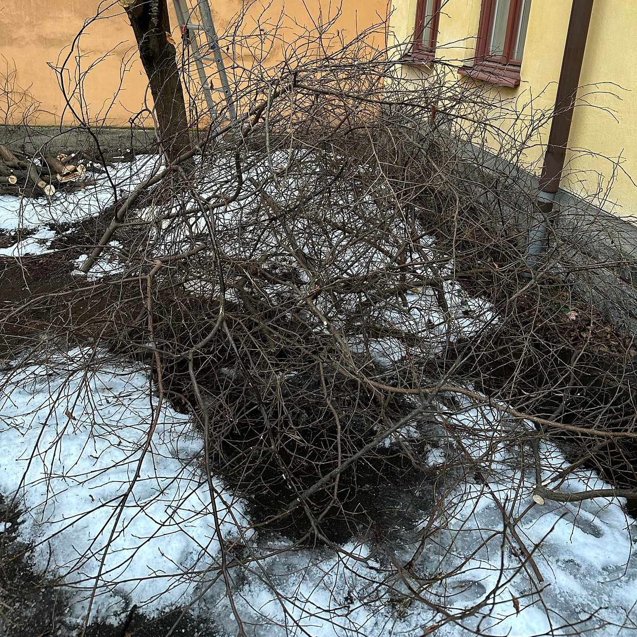 image of Garden waste - Stockholm