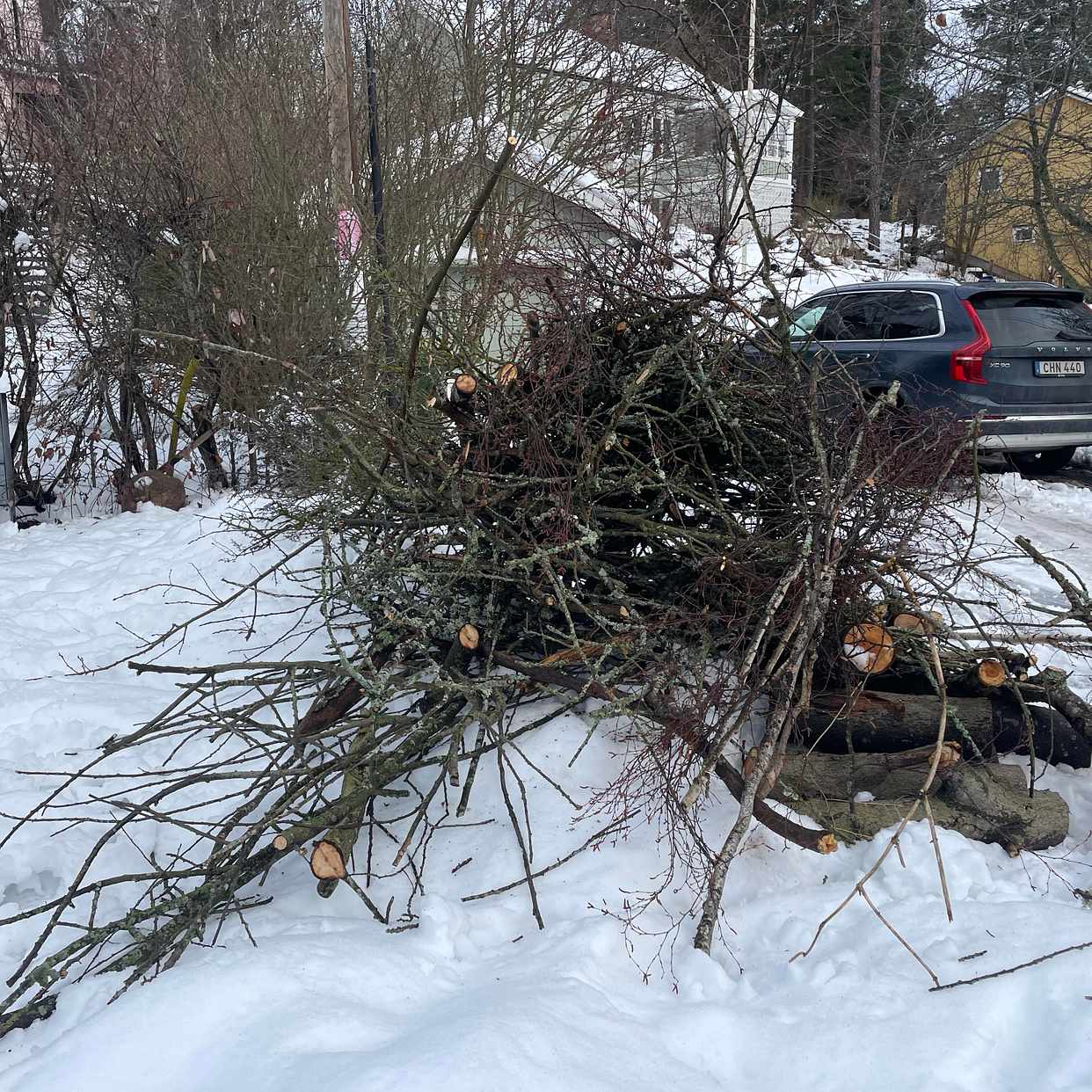 image of En hög med ris och grenar - Lidingö