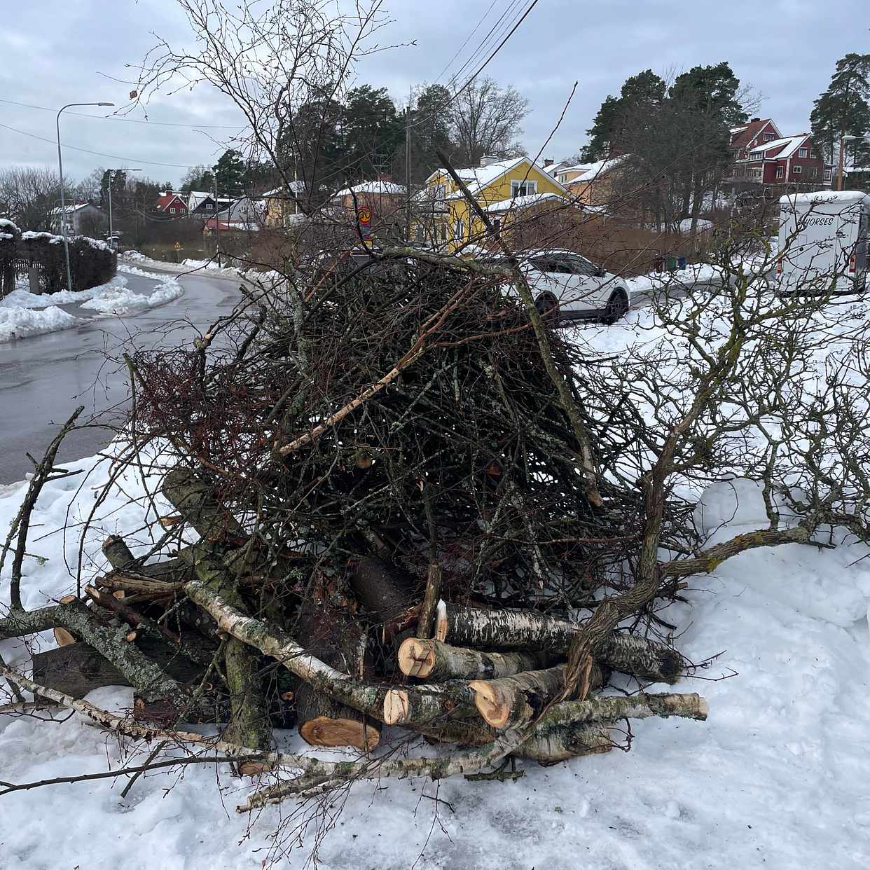 image of En hög med ris och grenar - Lidingö