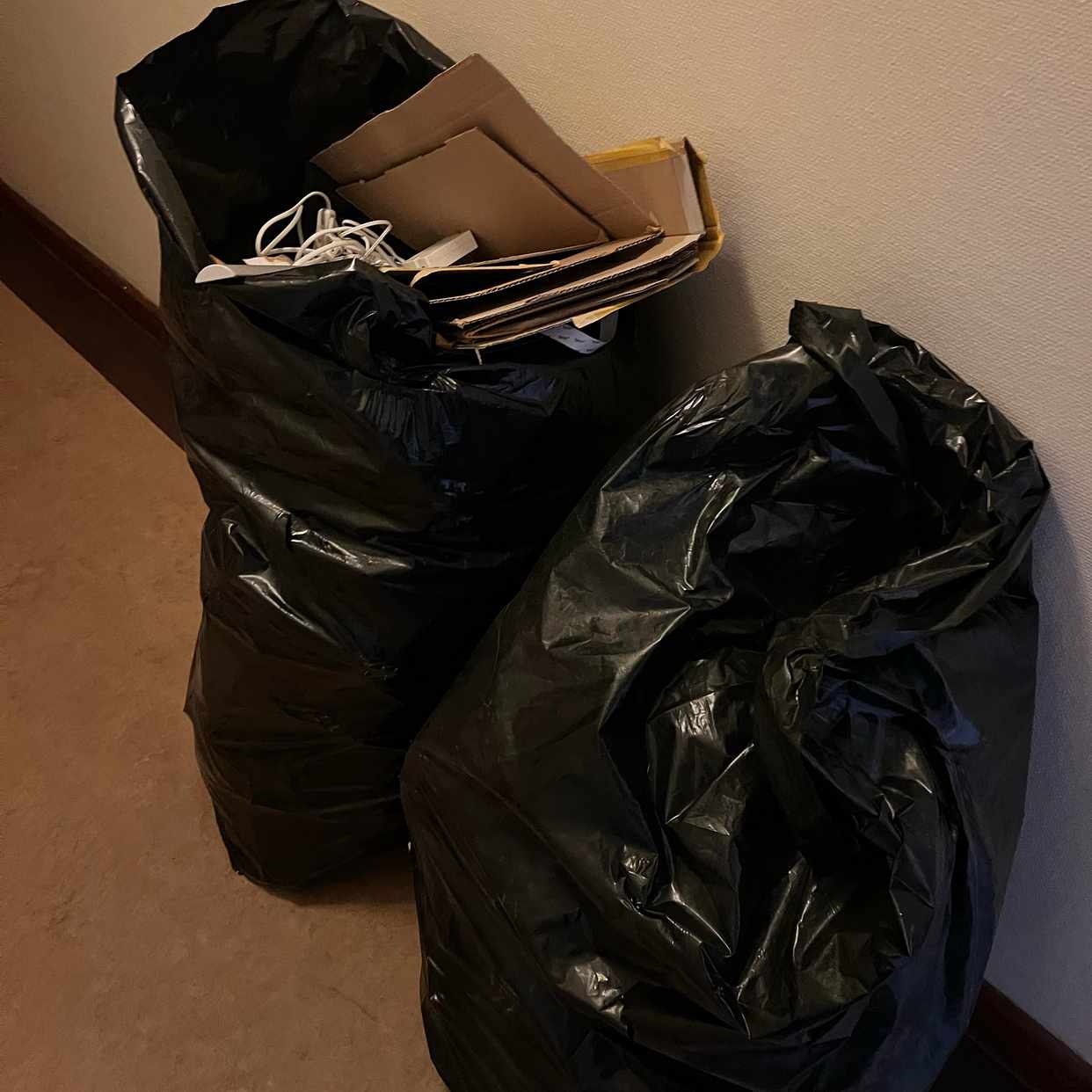 image of 2 bin bags with waste - Stockholm