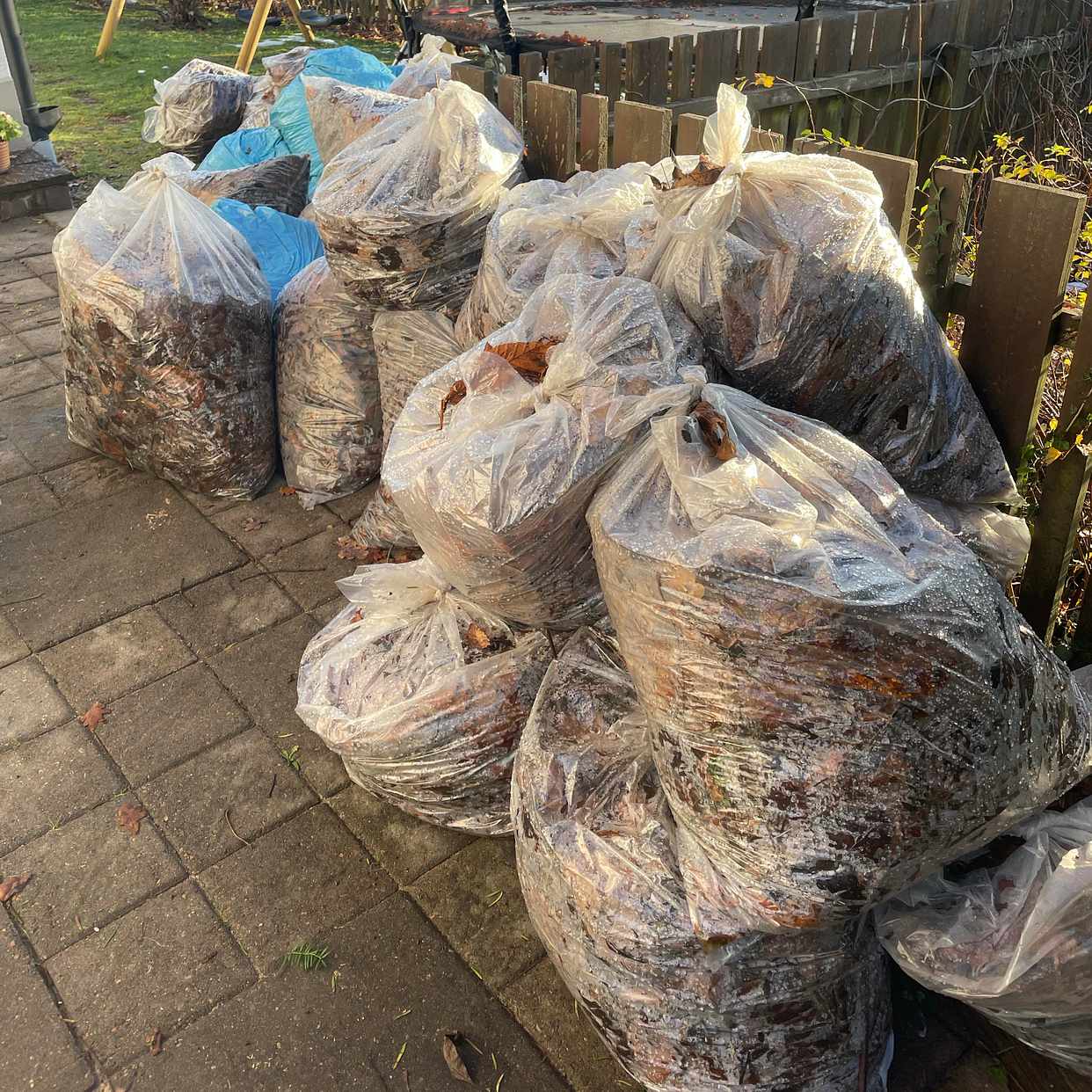 image of Bags with leaves - Stocksund