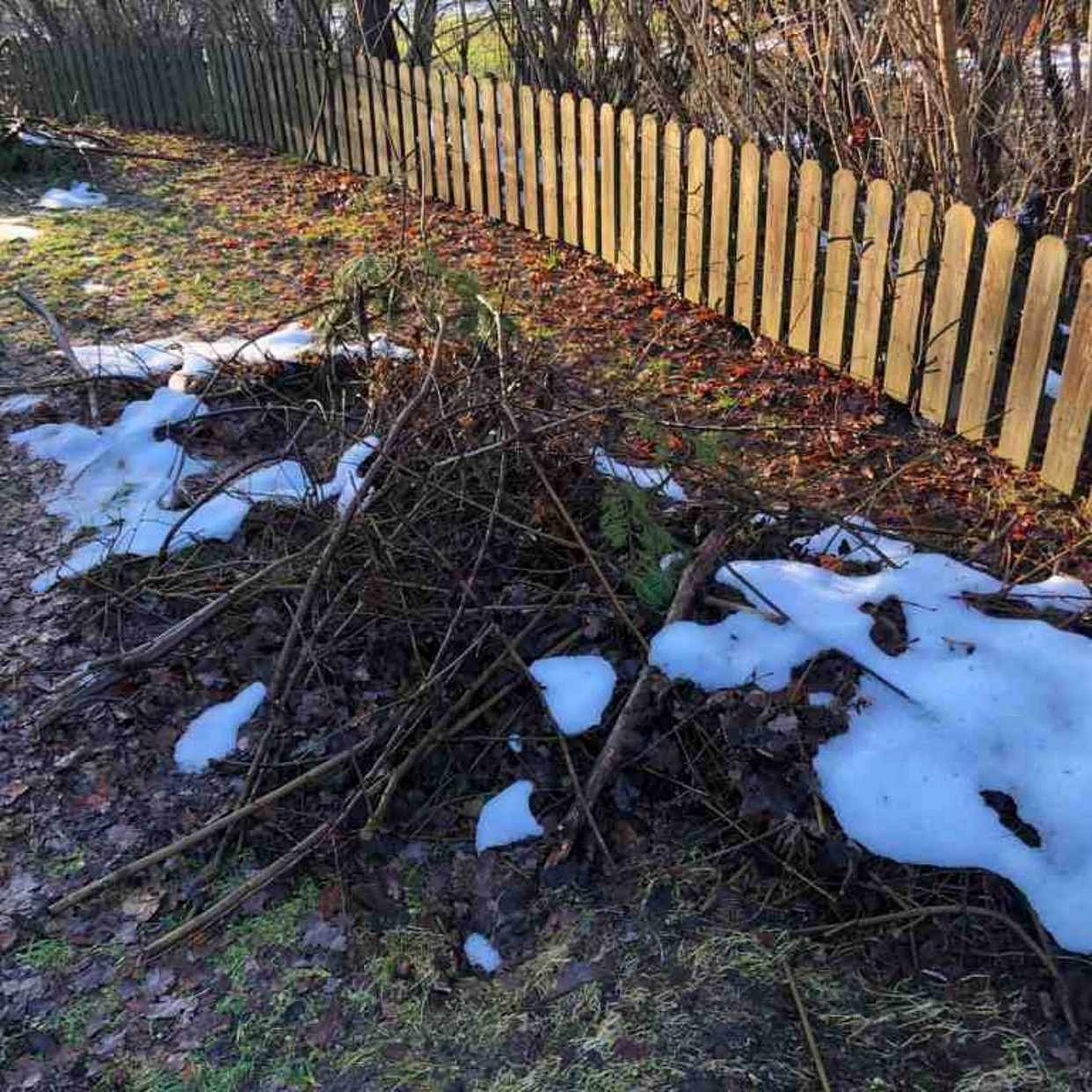 image of Mycket trädgårdsavfall - Vällingby