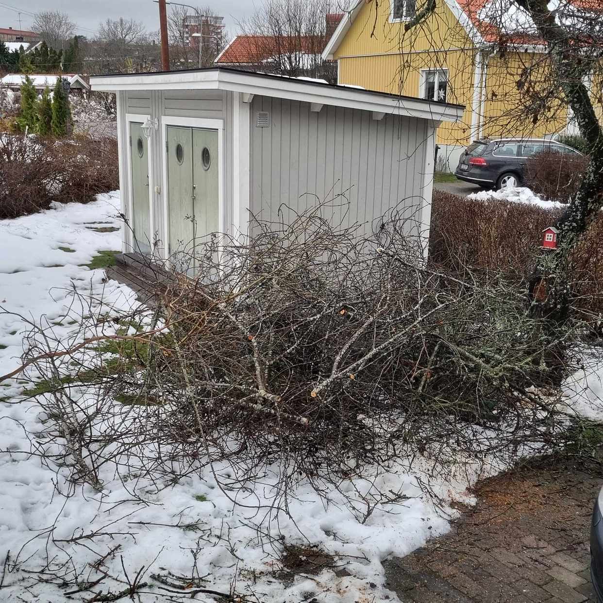 image of Grenar, ris - Älvsjö