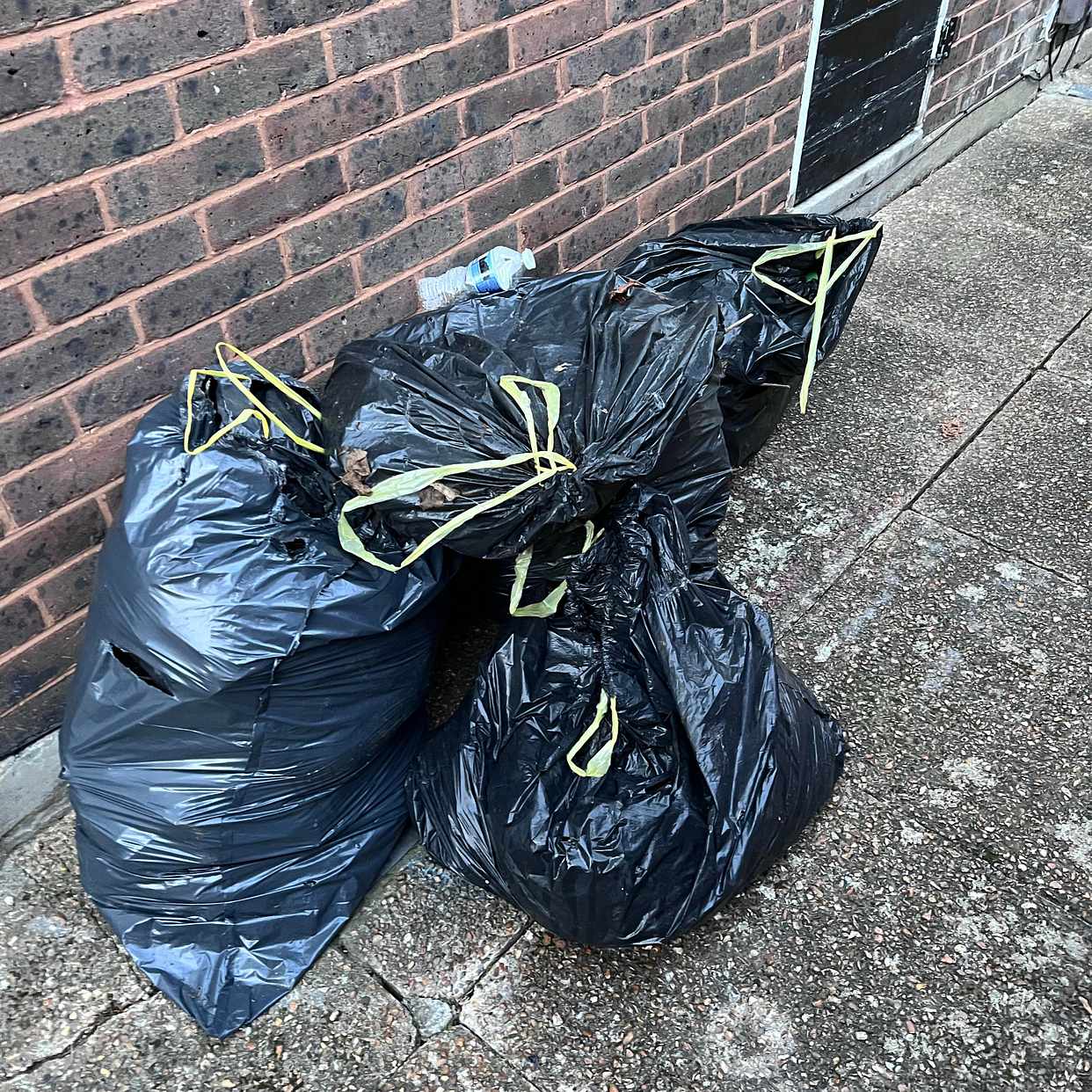 image of 5 bags of garden waste - Southwark