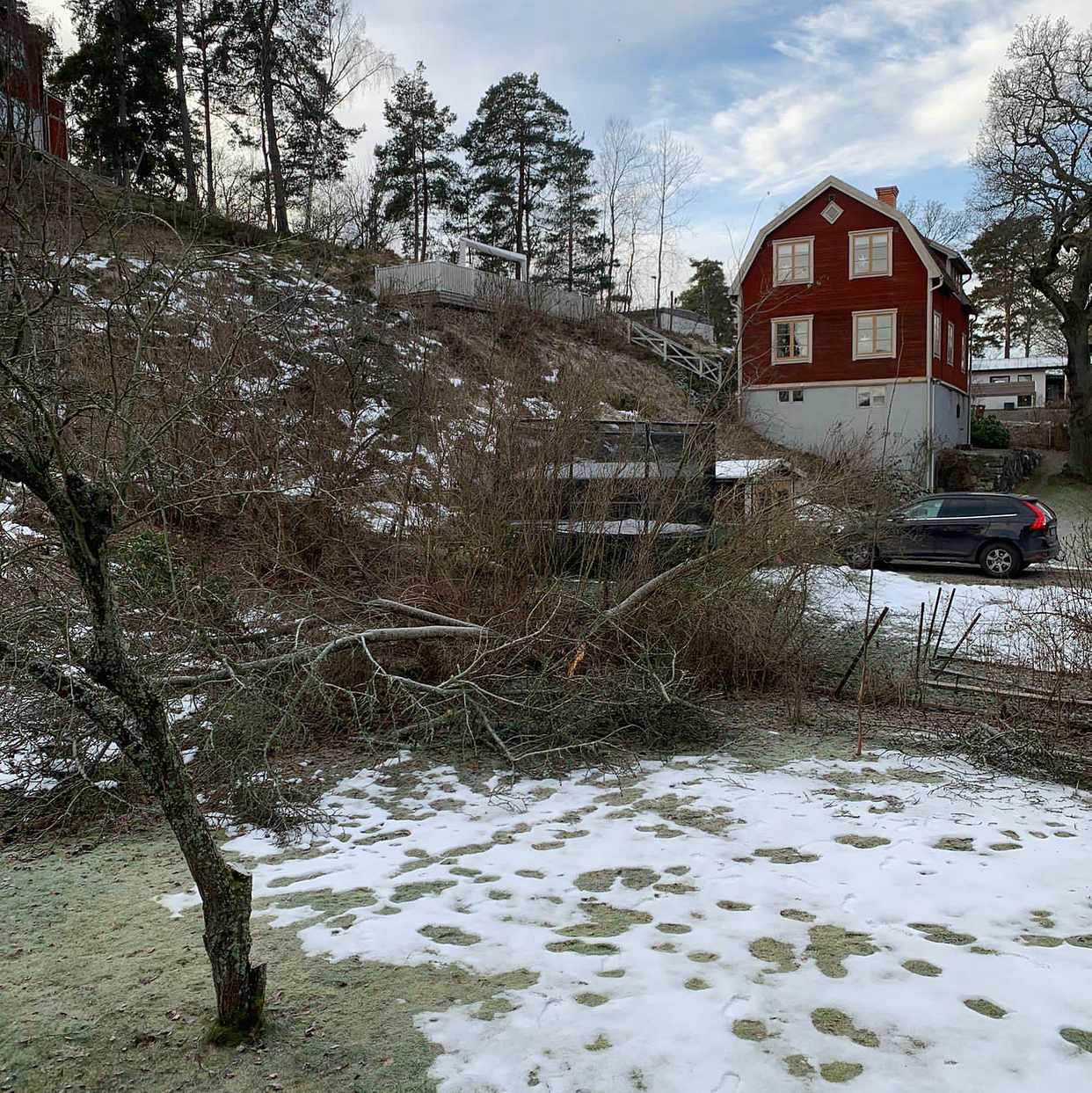 image of Såga träd med motorsåg - Stocksund