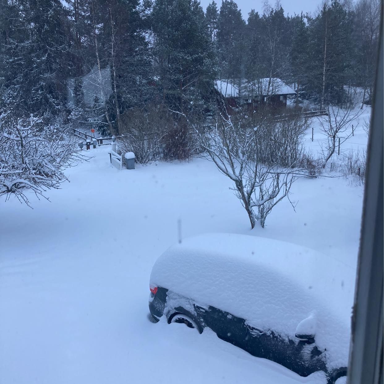 image of Skottning, så jag kommer - 