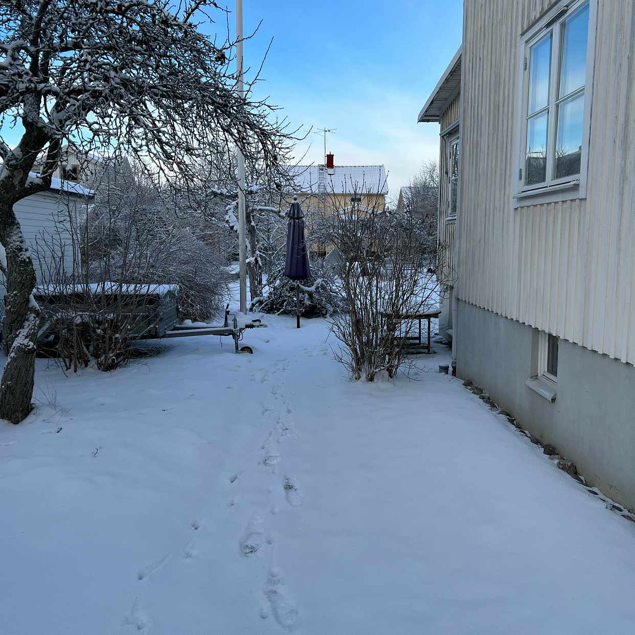 image of Hämta grenar, stora - Enskede