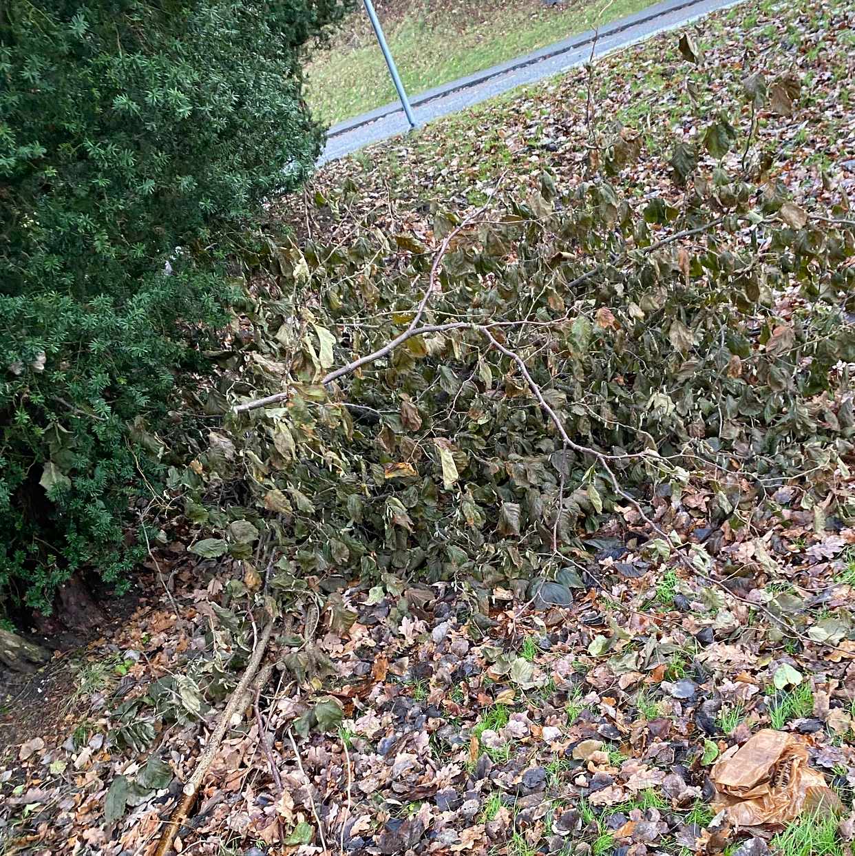 image of Fridge and gardenwaste - Västra Frölunda