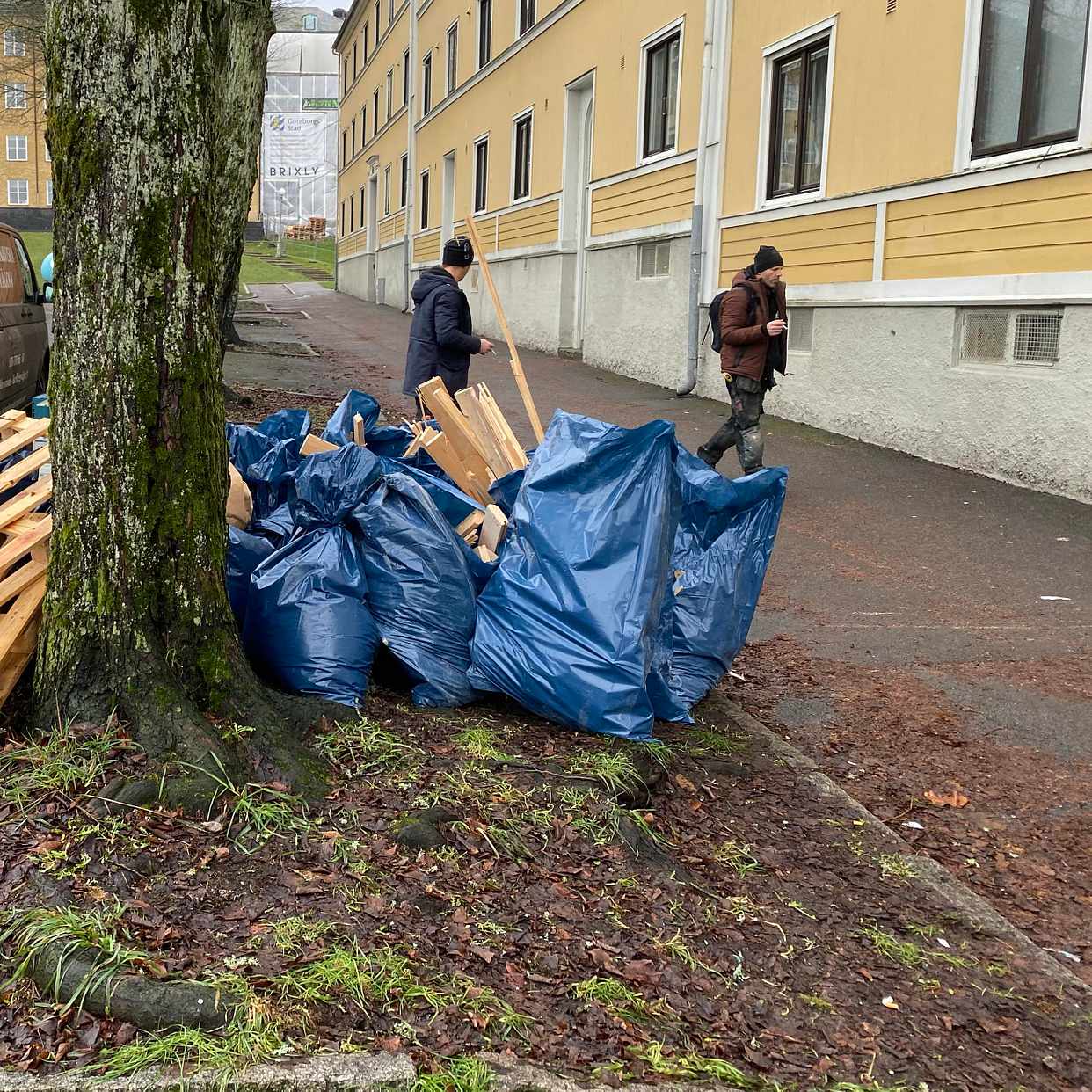 image of Blåa sopsäckar + trä - Göteborg