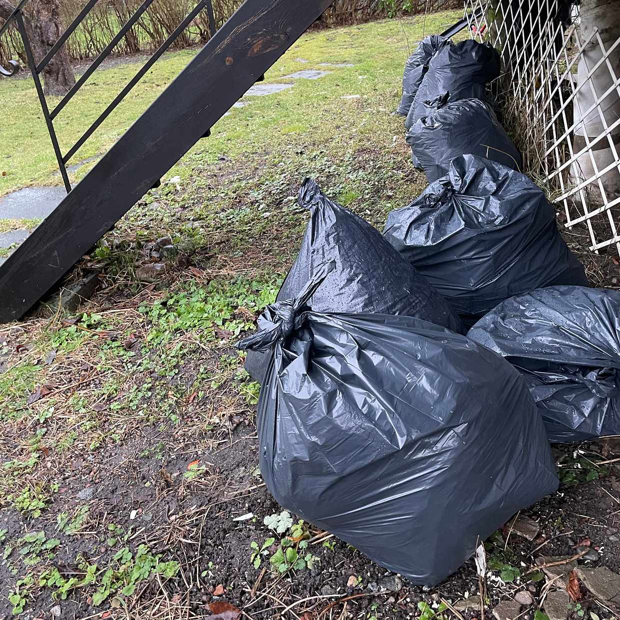 image of Ris och sly. 10 lövsäckar - Bromma