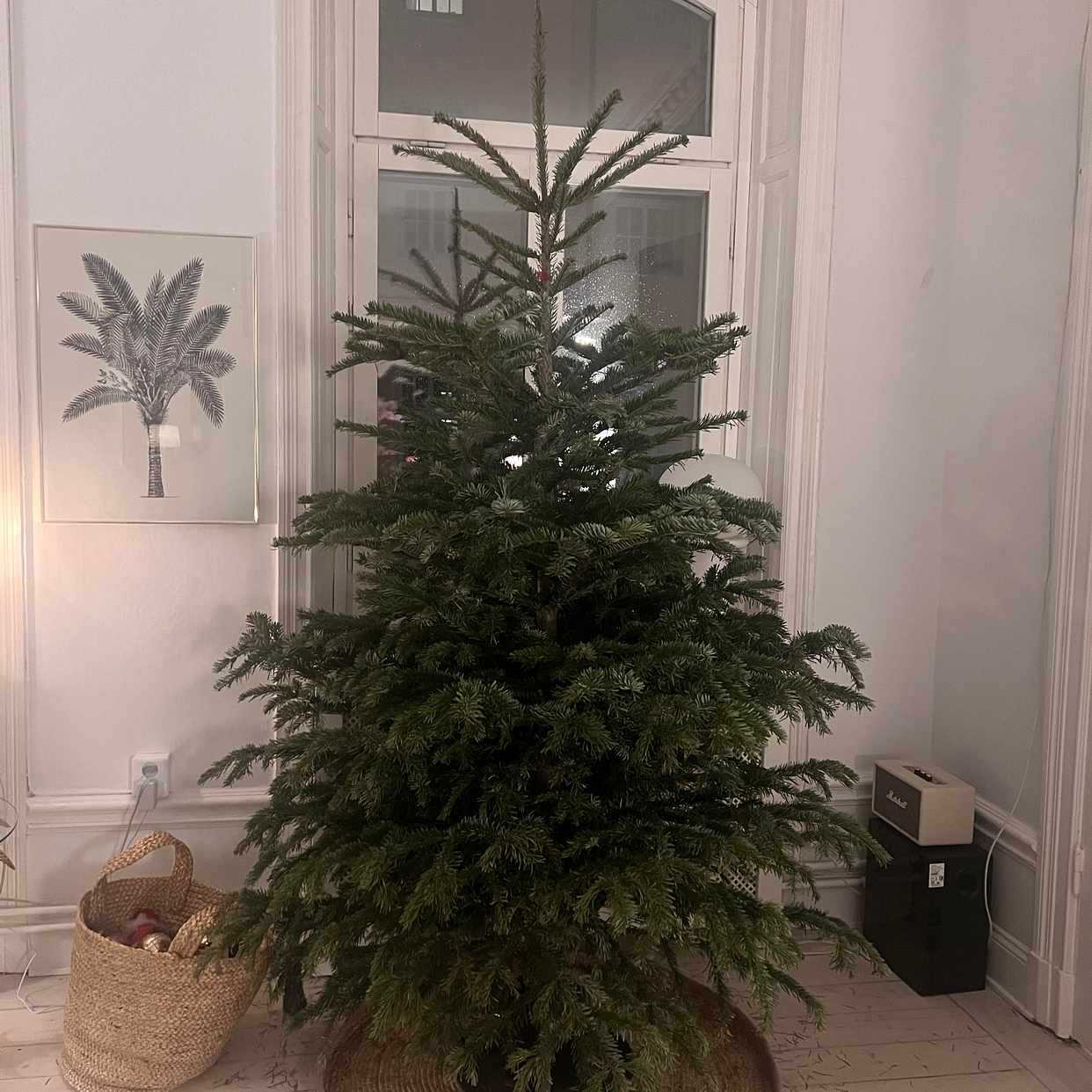 image of Julgran och bordsskiva - Stockholm