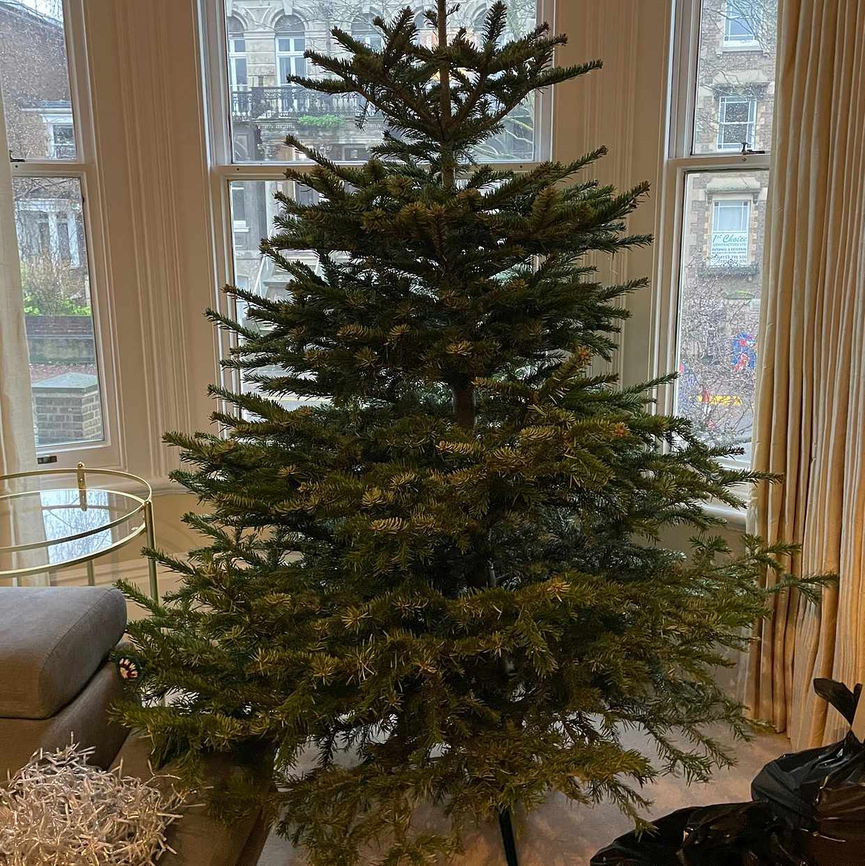 7 ft Christmas tree Windsor Tiptapp