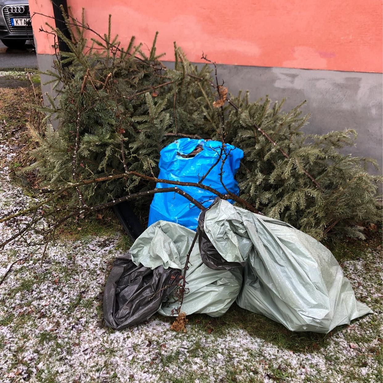 image of Hämta 2 granar 2 sopsäcka - Bromma
