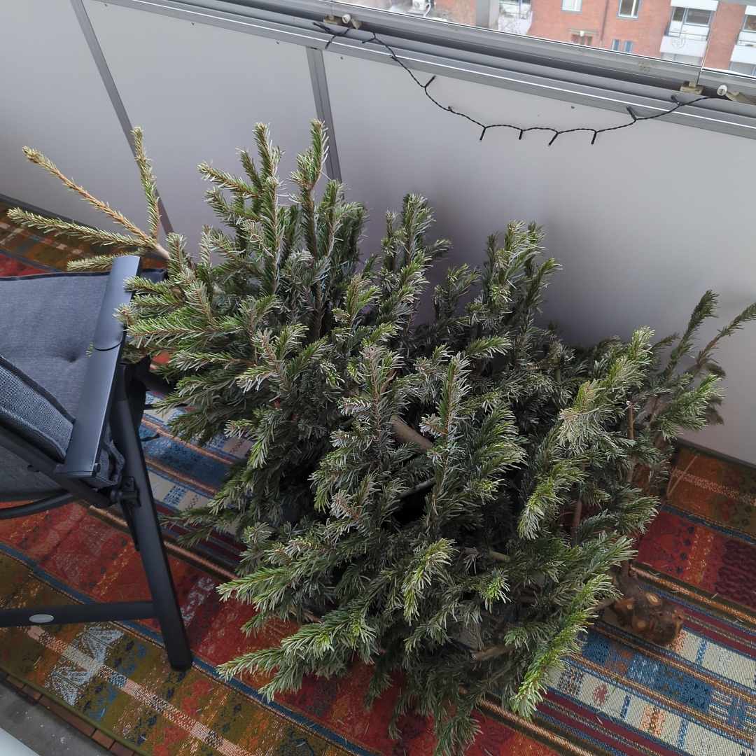 image of Julgran För Återvinning - Farsta