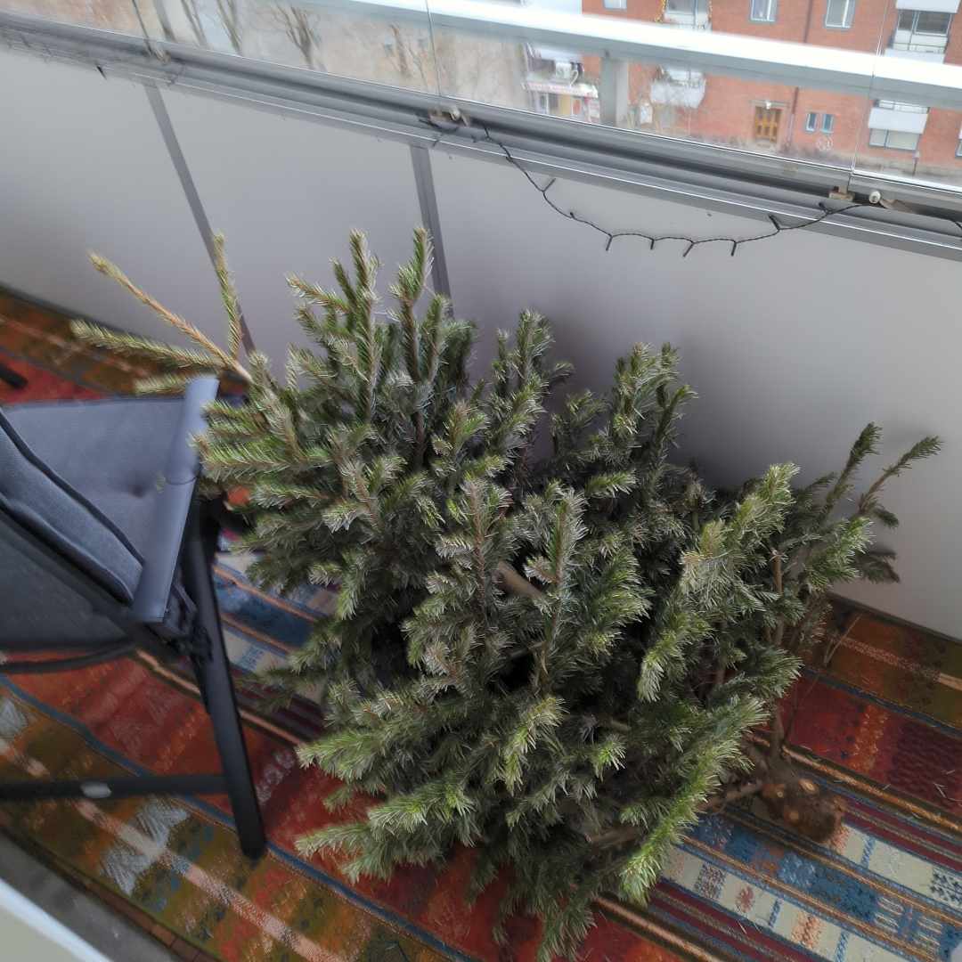image of Julgran För Återvinning - Farsta