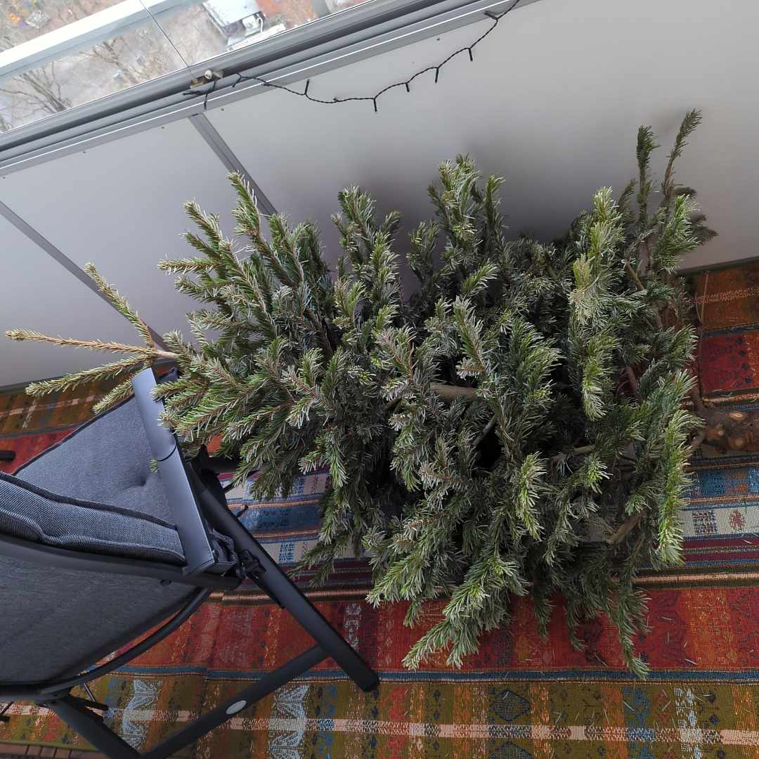 image of Julgran För Återvinning - Farsta