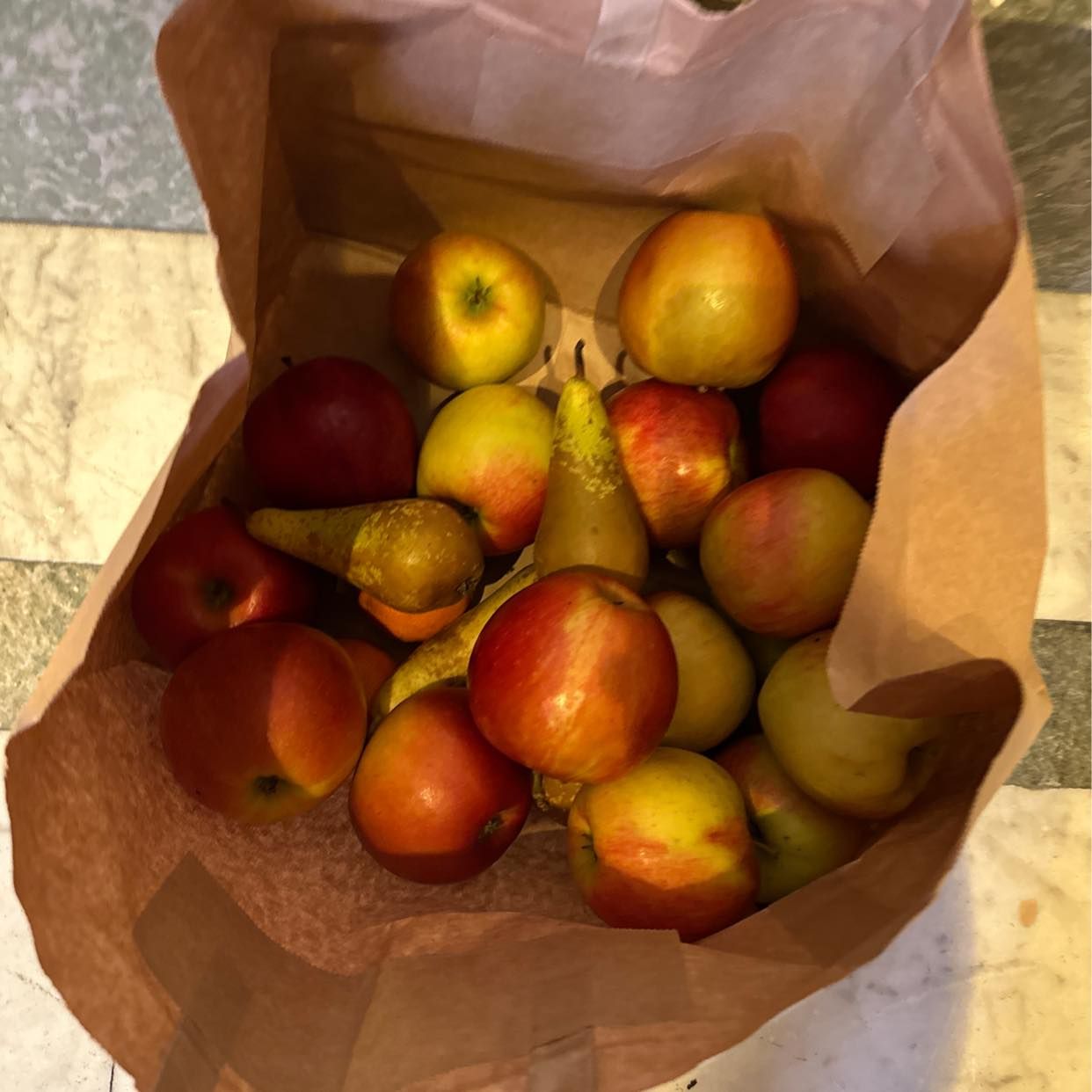 image of Frukt ges bort - Stockholms Stad