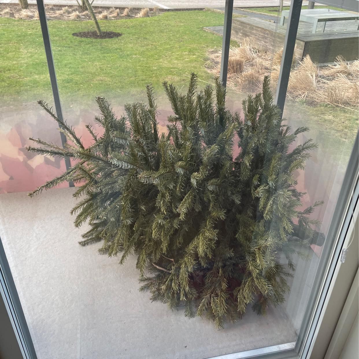 image of Christmas Tree Removal - Göteborg