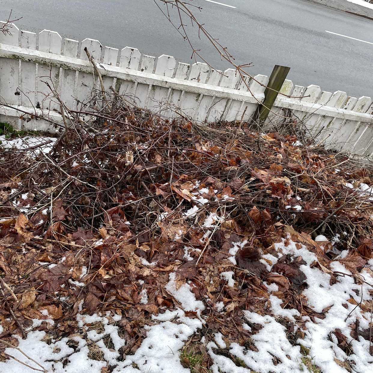 image of Garden waste - Hägersten