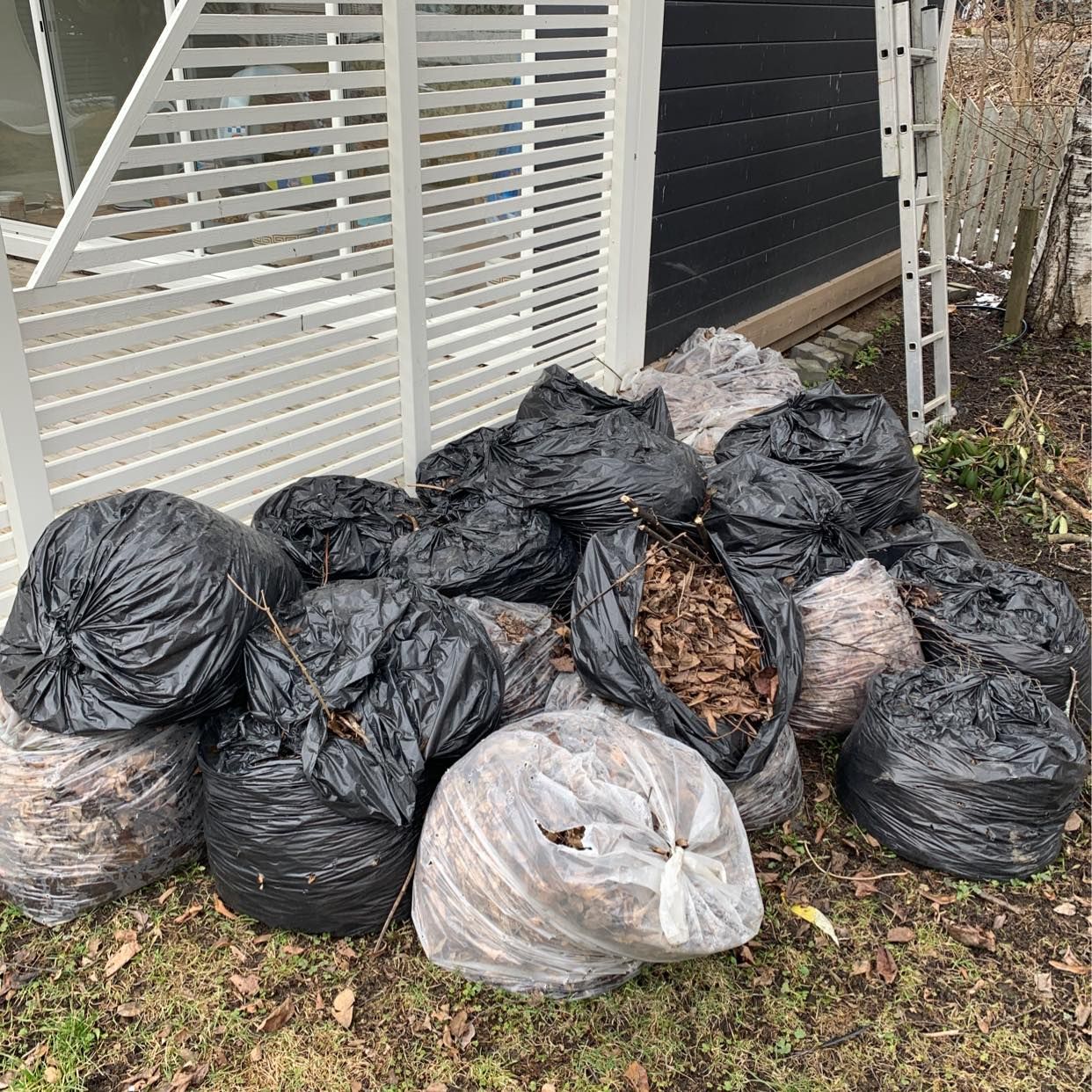 image of Bagged leaves - Segeltorp