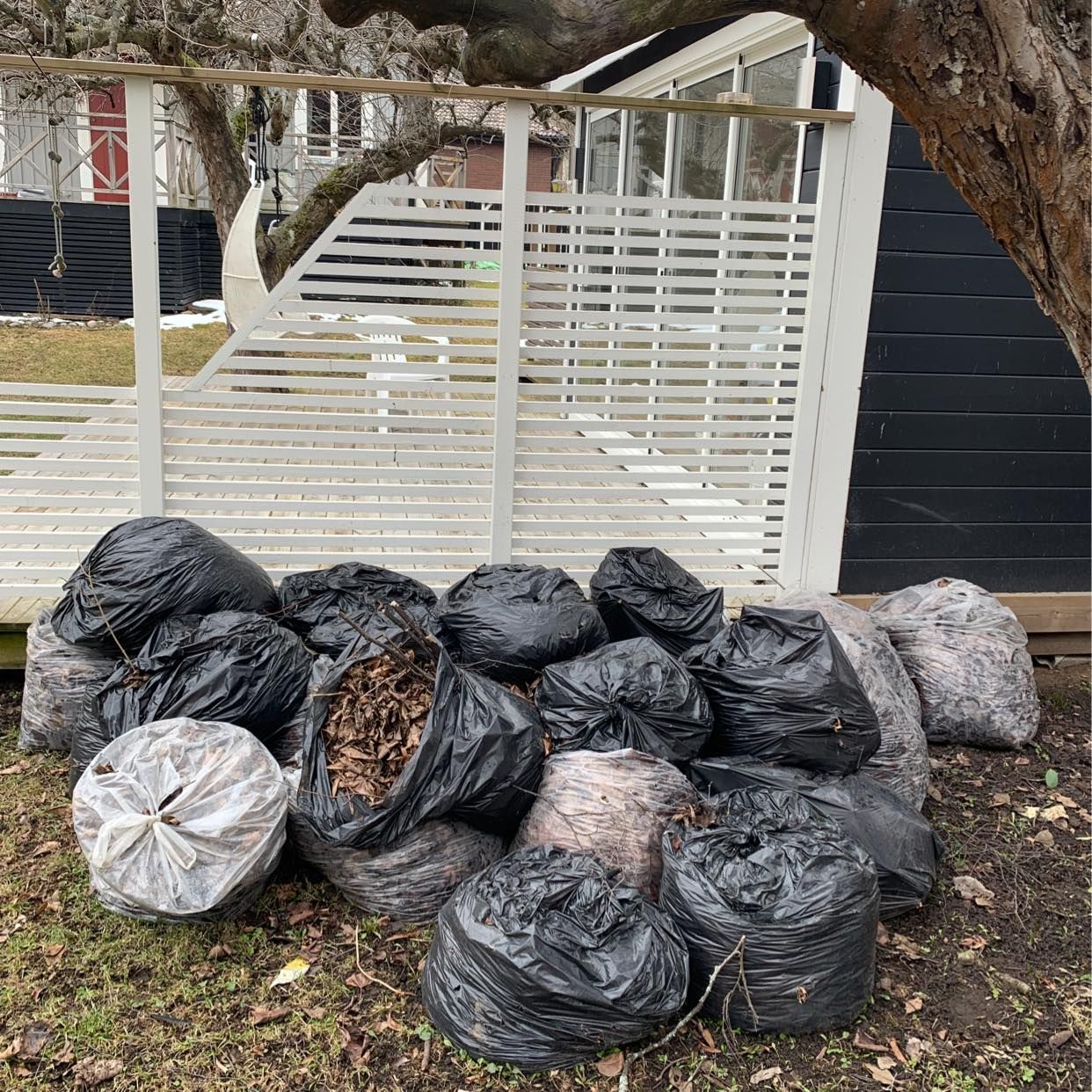 image of Bagged leaves - Segeltorp