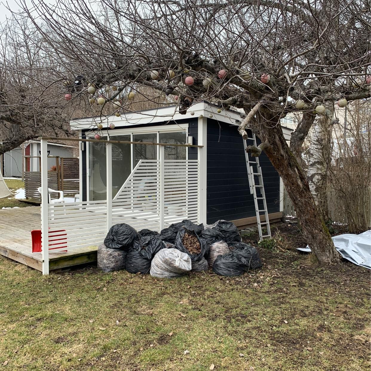 image of Bagged leaves - Segeltorp