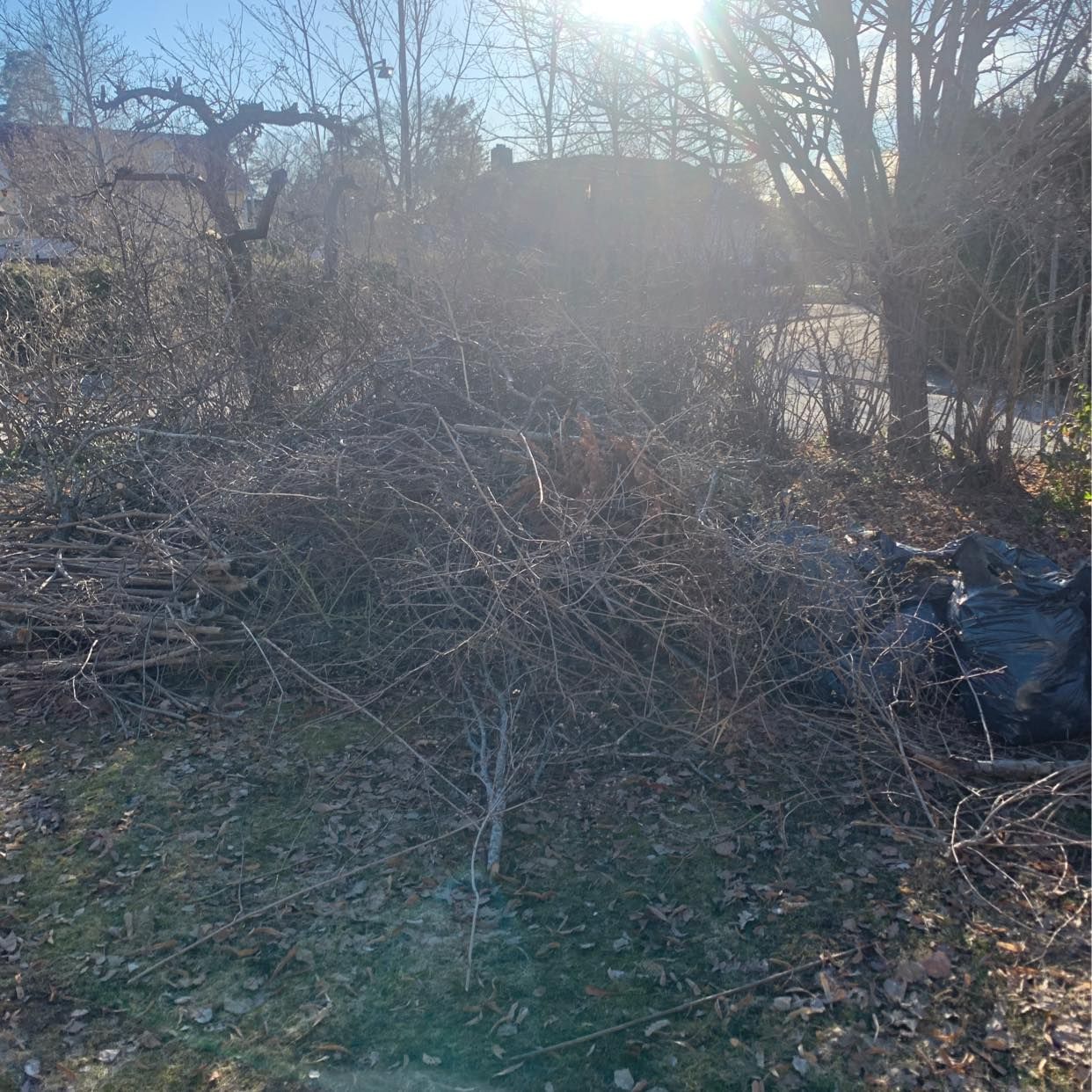 image of Refrigerator and garden - Farsta