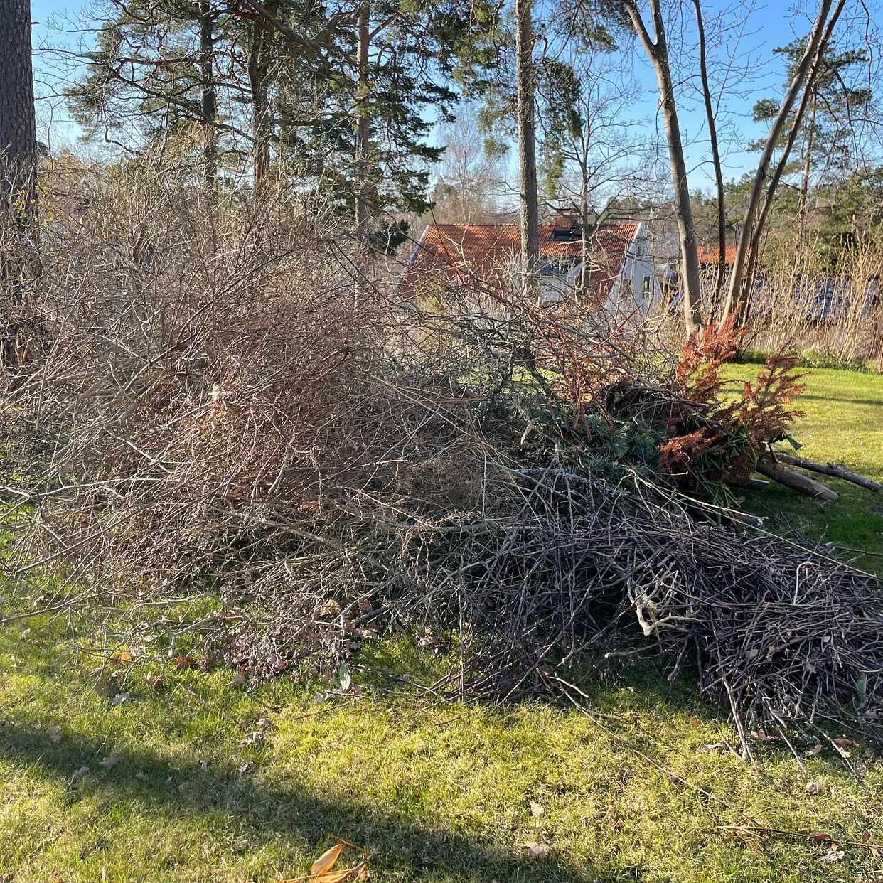 image of Slänga grenar och ris - Saltsjöbaden