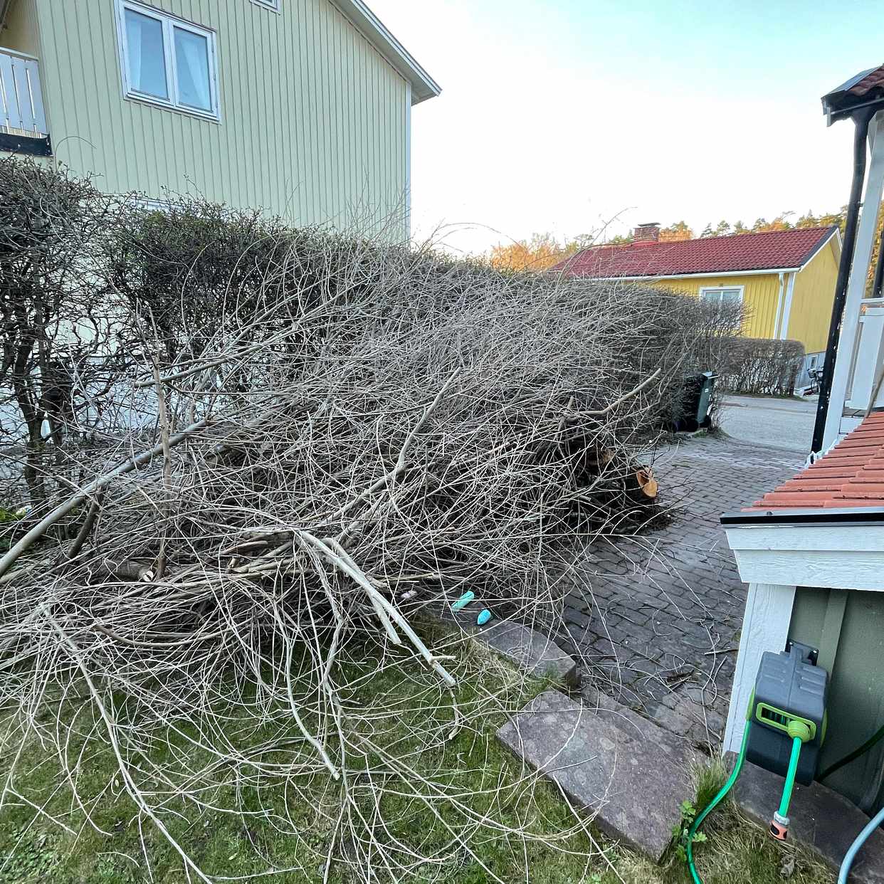 image of Big pile of branches - Bromma