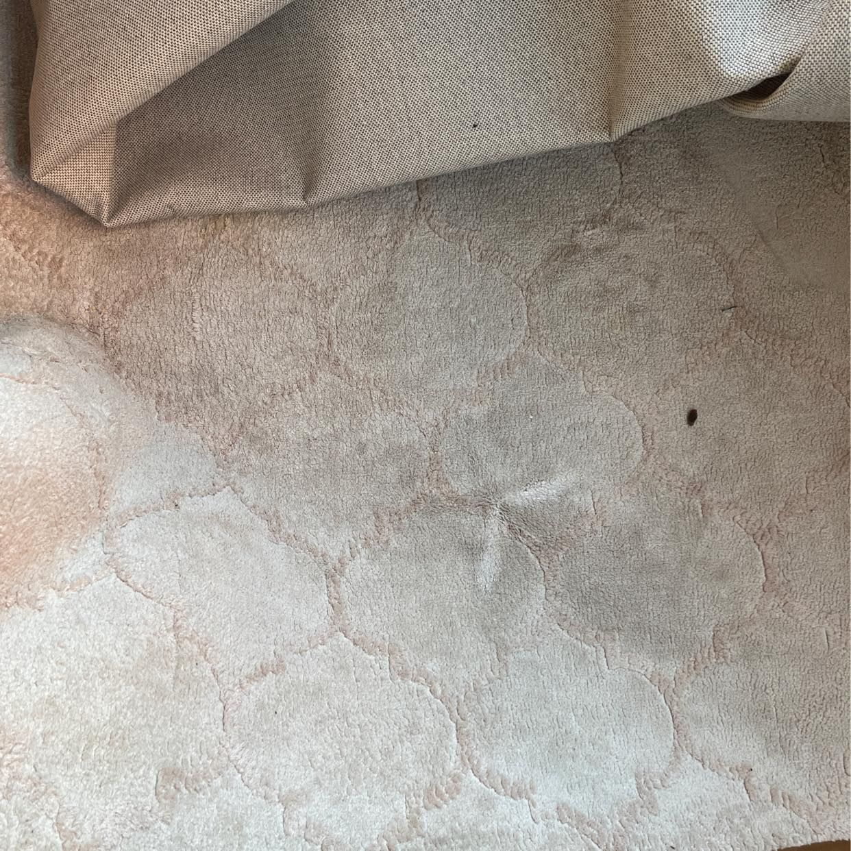 image of Matta 200x300 bortskänkes - Solna