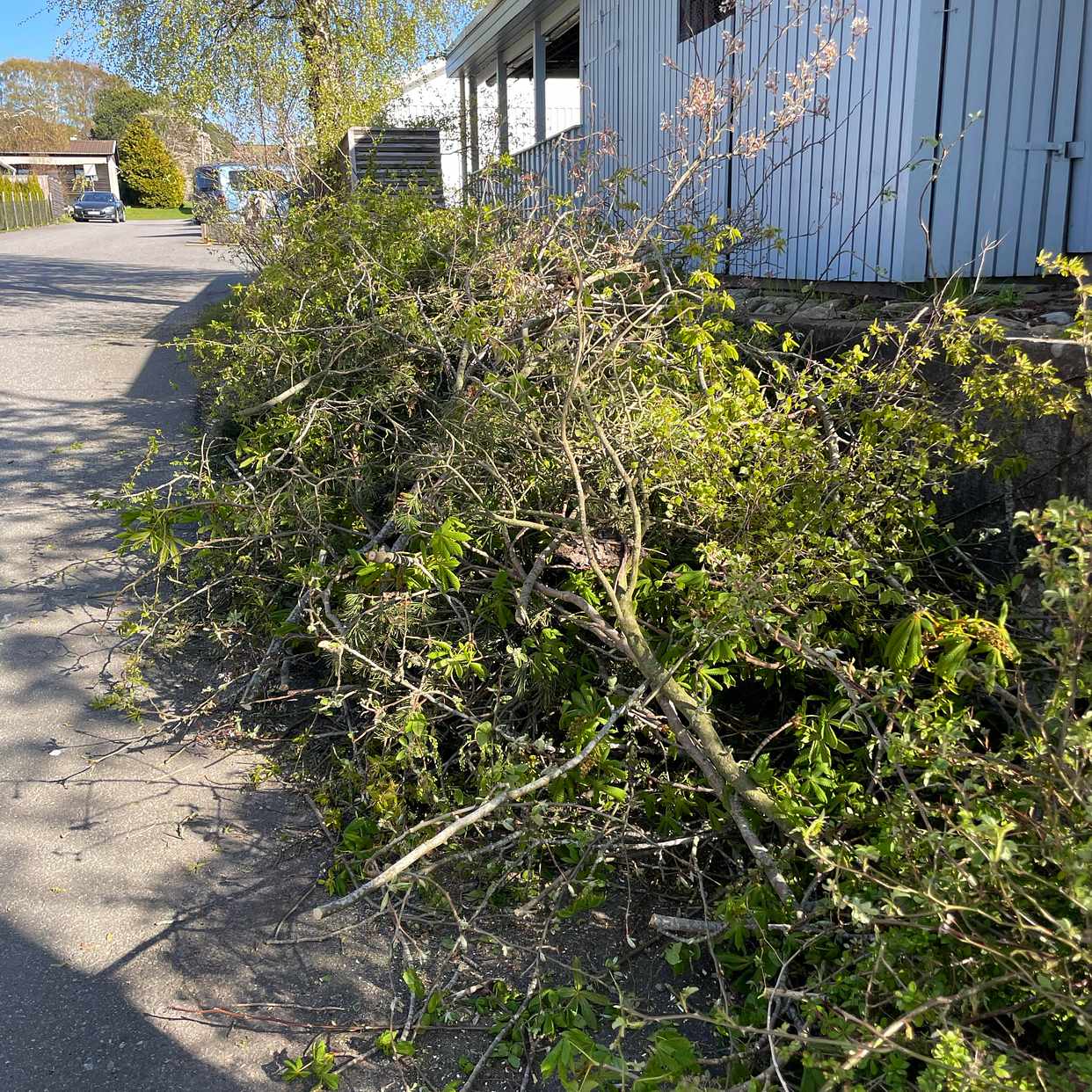 image of Ta bort trädgårdsavfall - Lindome