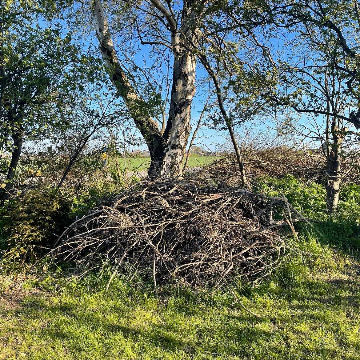 image of Trädgårdsavfall - Klagshamn