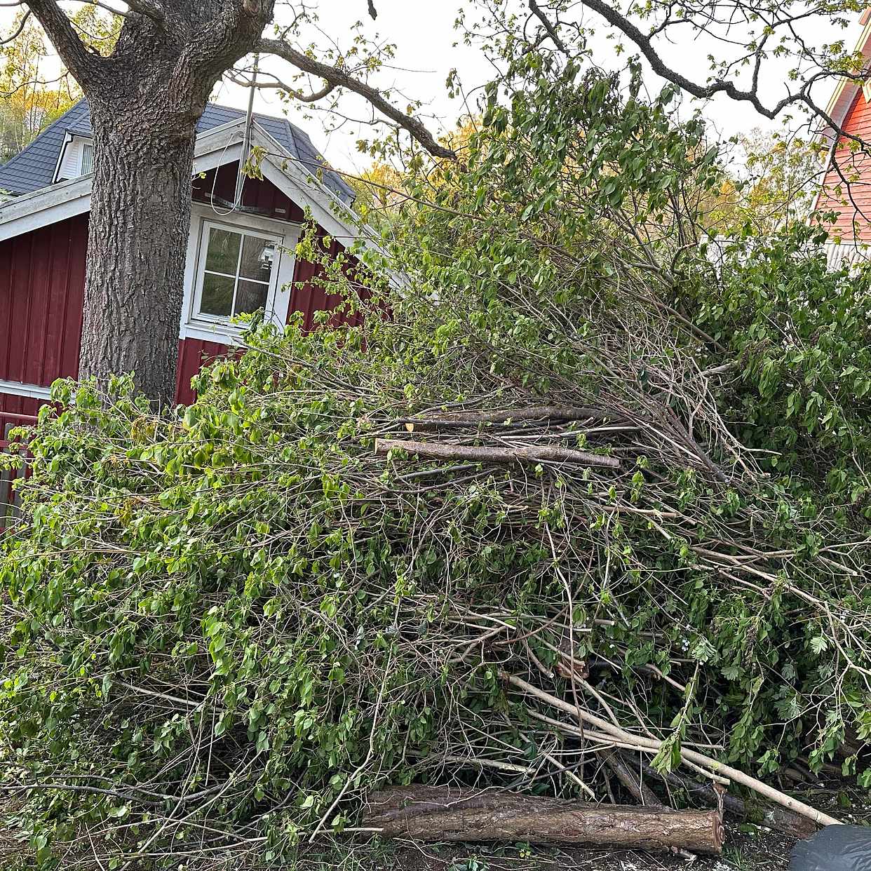 image of Trädgårdsavfall , 2 högar - Segeltorp