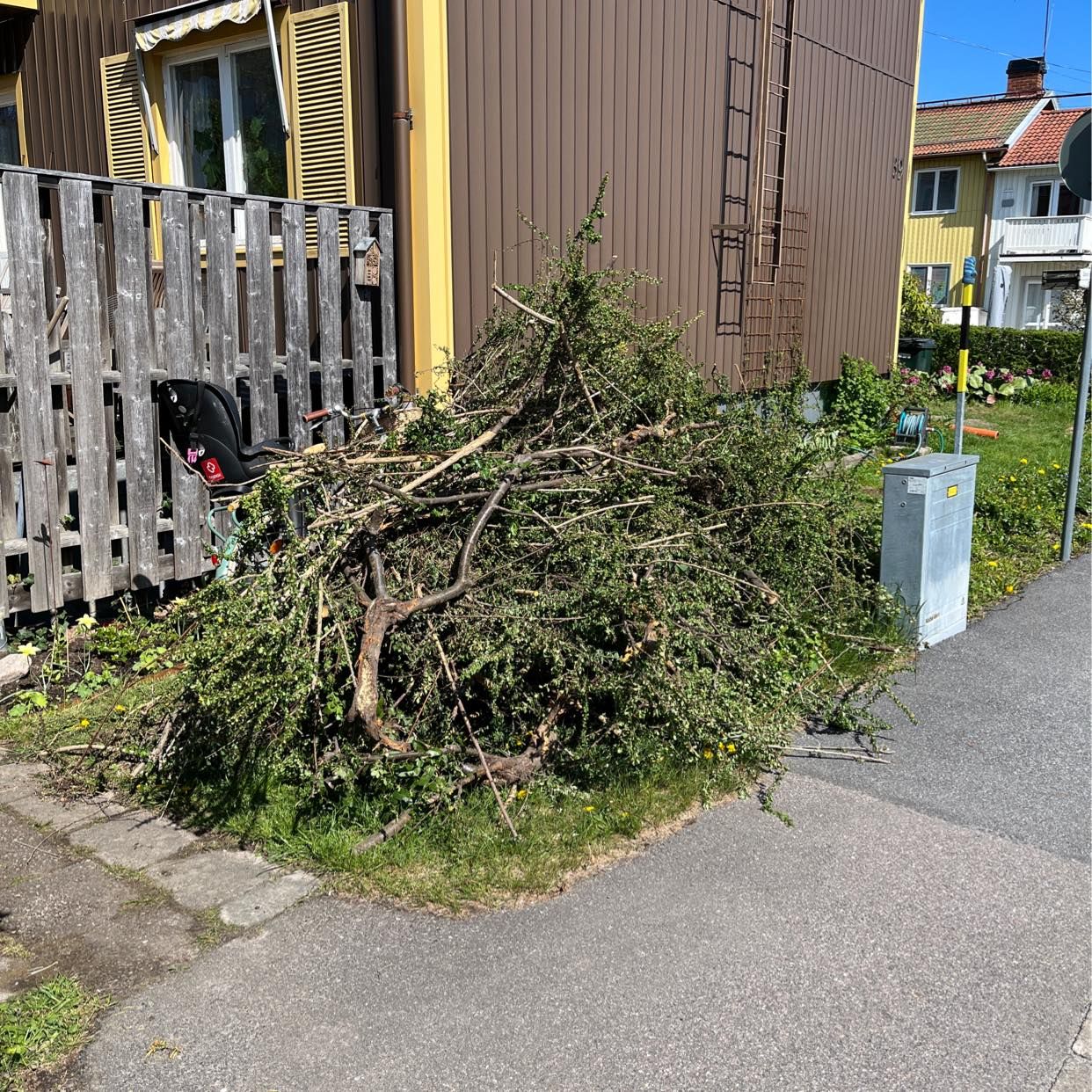 image of Ris/gamla buskar - Bromma