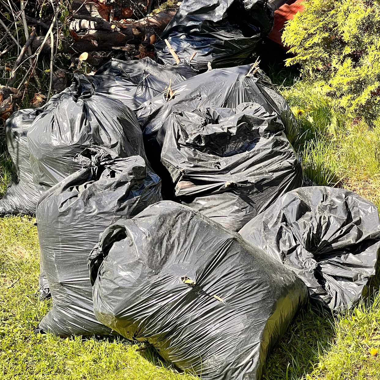 image of Allt ska bort - Handen