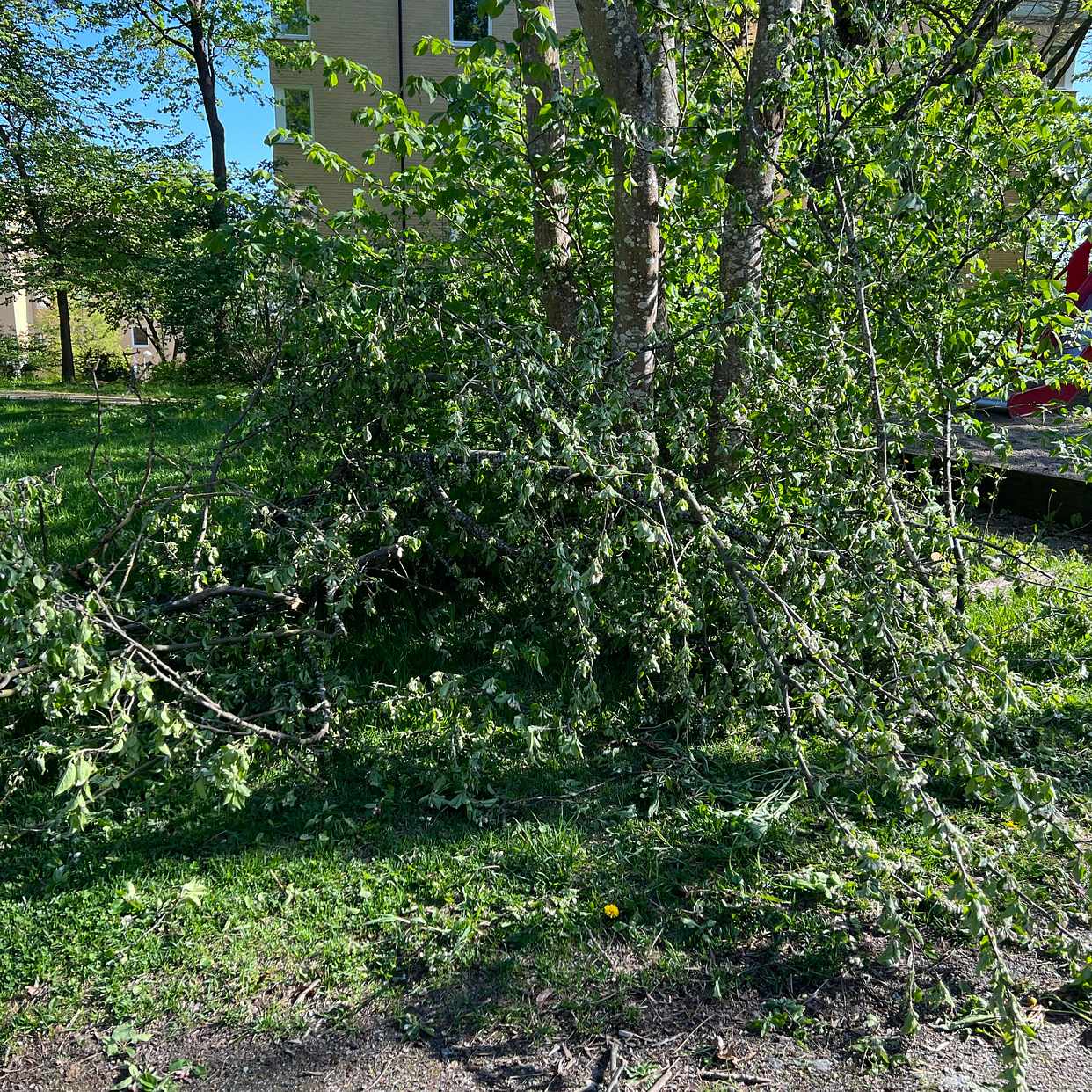 image of Trädgårdsavfall - Bromma