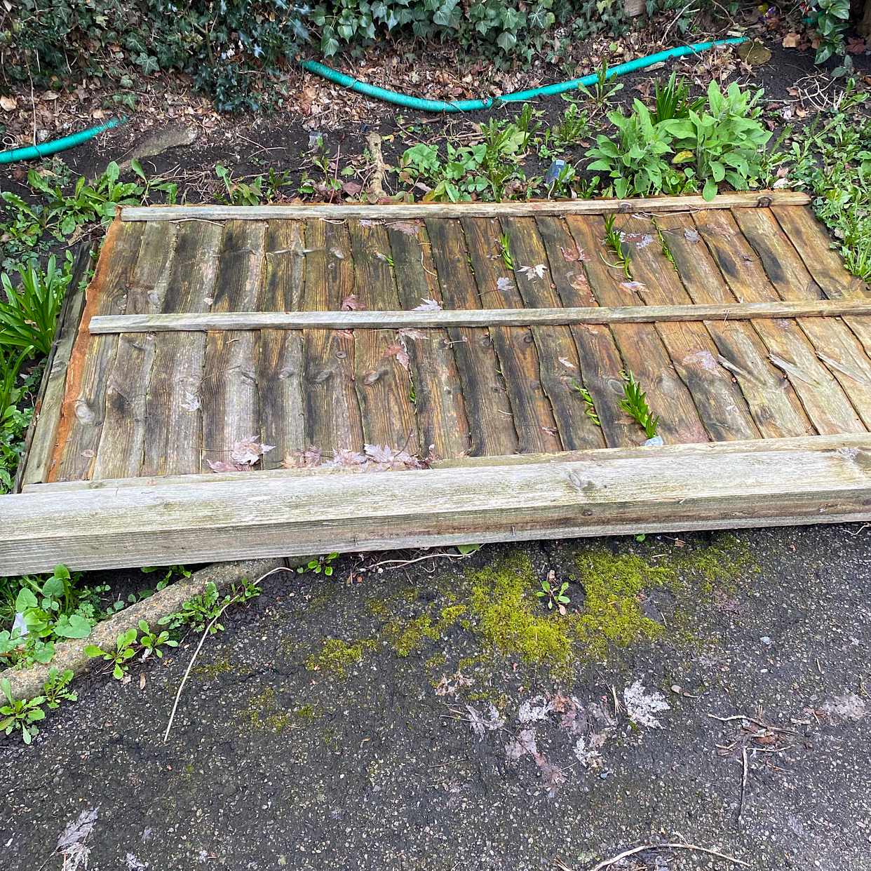 image of Fence panels - London