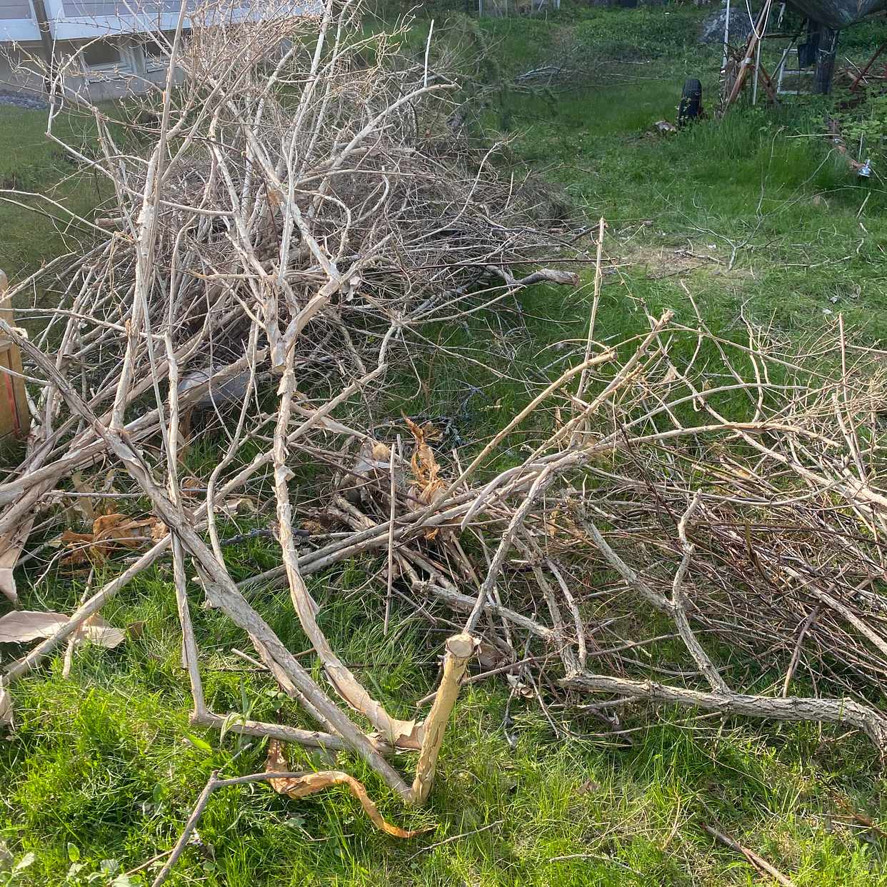 image of Slänga trädgårdsavfall - Vendelsö