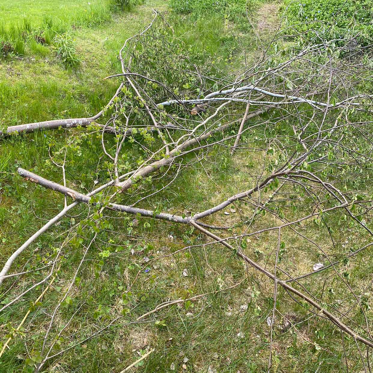 image of Slänga trädgårdsavfall - Vendelsö