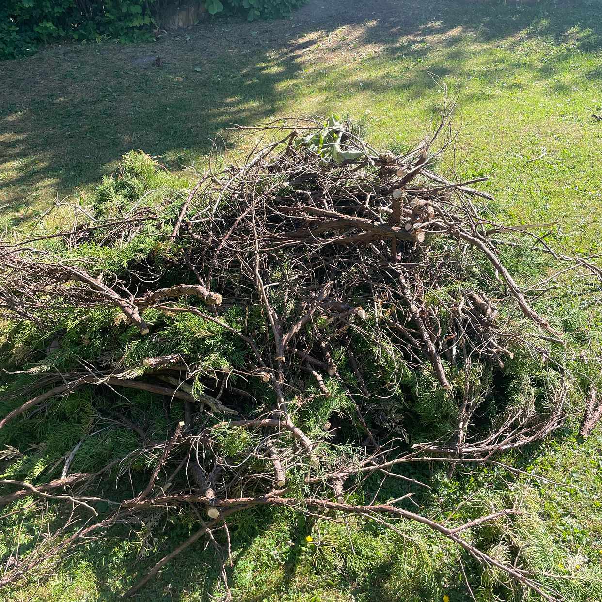 image of Garden waste - Lidingö