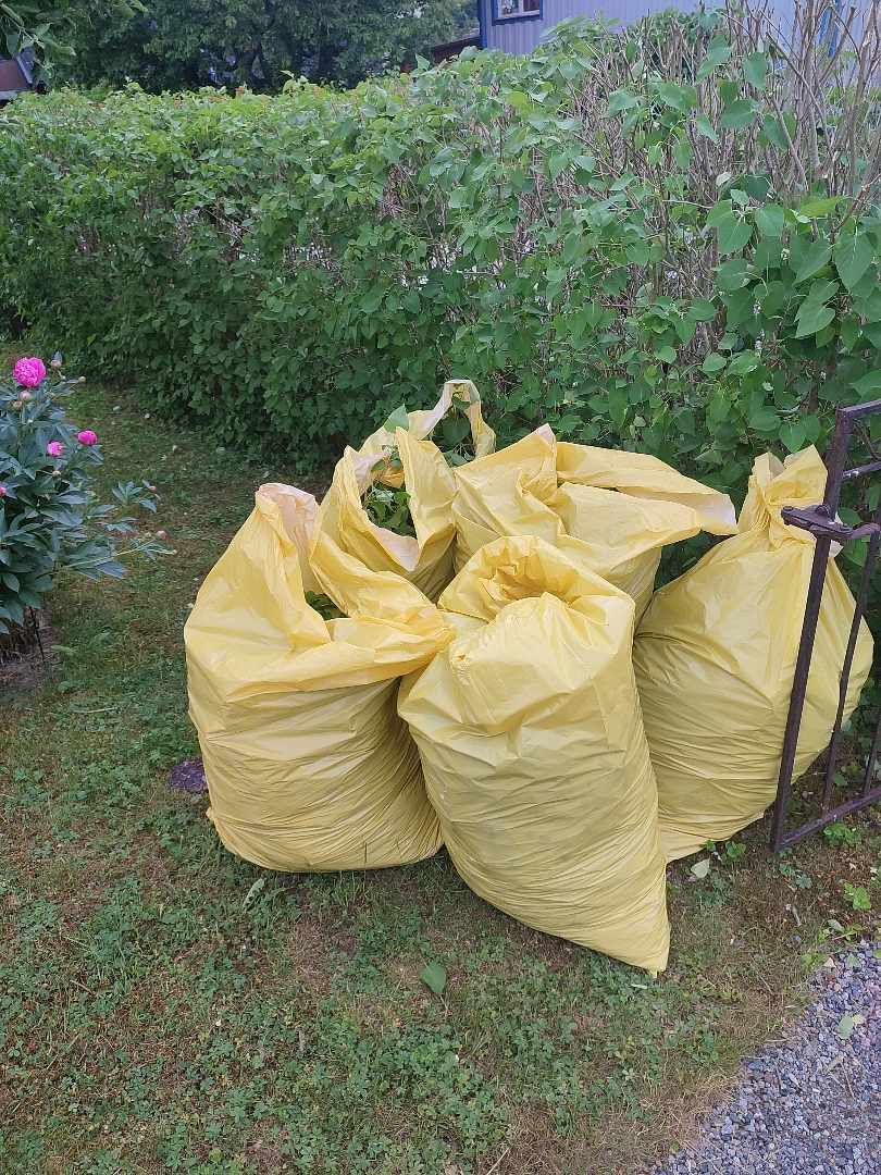 image of 8 säckar trädgårdsavfall - Österskär