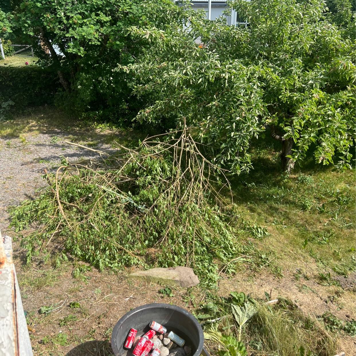 image of Grenar - Hässelby