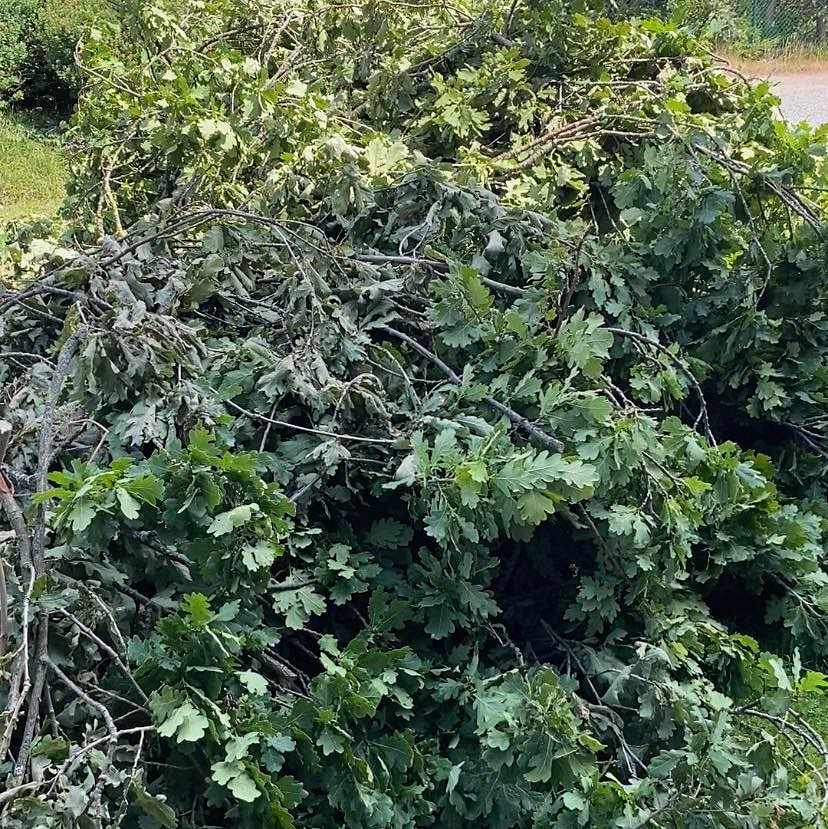 image of Ekgrenar till återvinning - Västra Frölunda