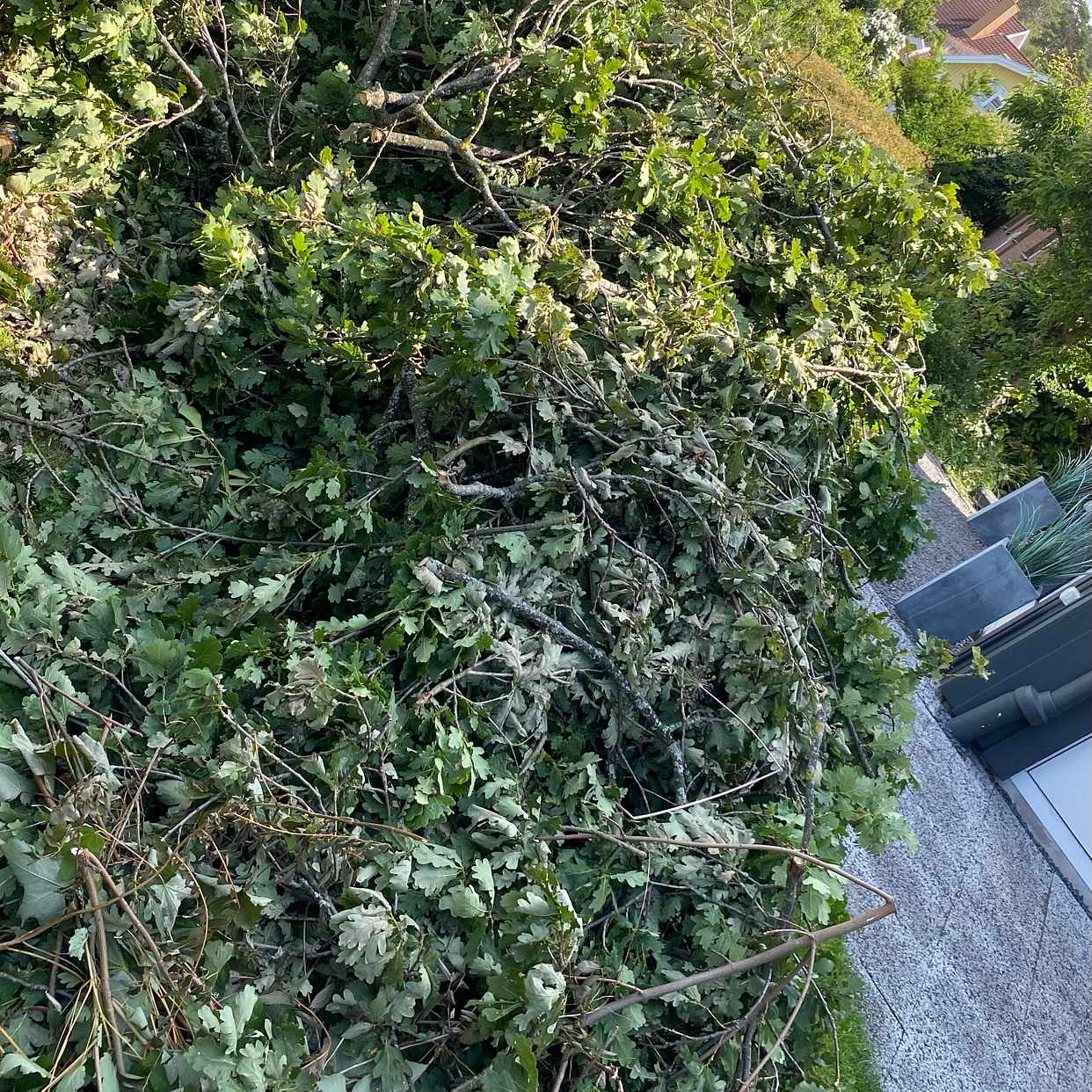 image of Ekgrenar till återvinning - Västra Frölunda